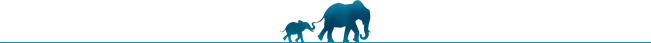 Elephants-divider.png