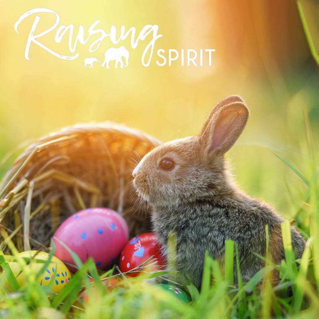 Wishing all my followers, friends, and family a very happy Easter weekend

&ldquo;The great gift of Easter is hope.&rdquo; &mdash; Basil Hume

#easter #easter2024 #author #bookcomingsoon #personalgrowthcoach #healthcoaching #personalgrowth #positivea
