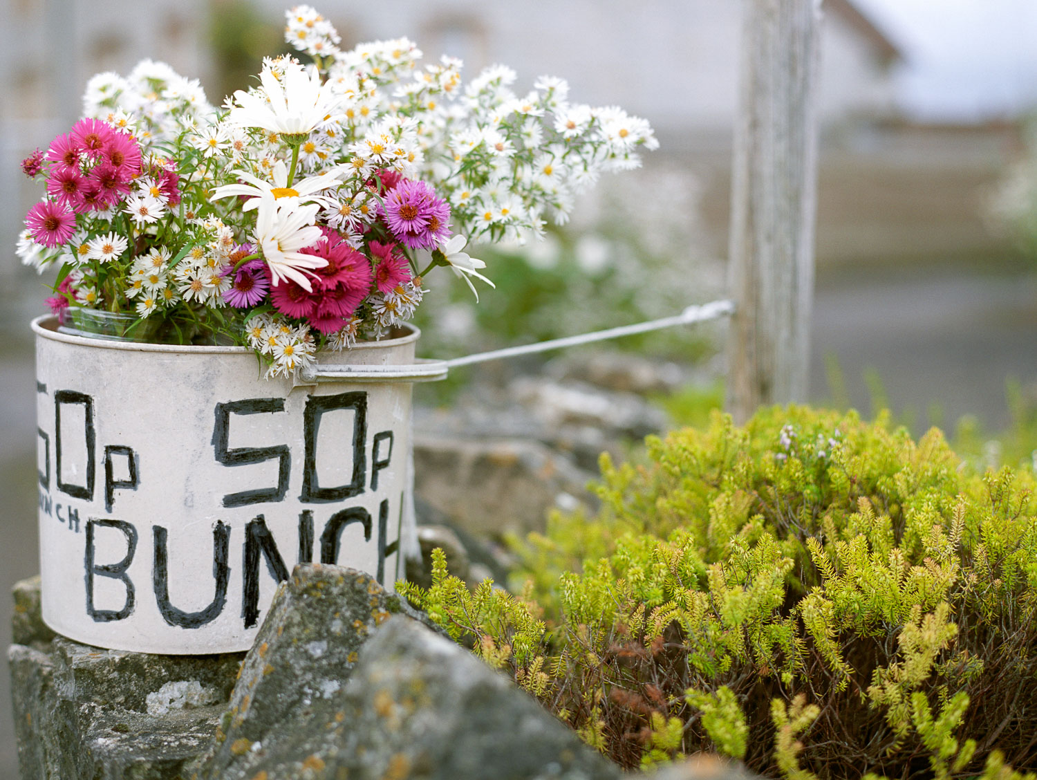 Honesty Box, Somerset, 2008