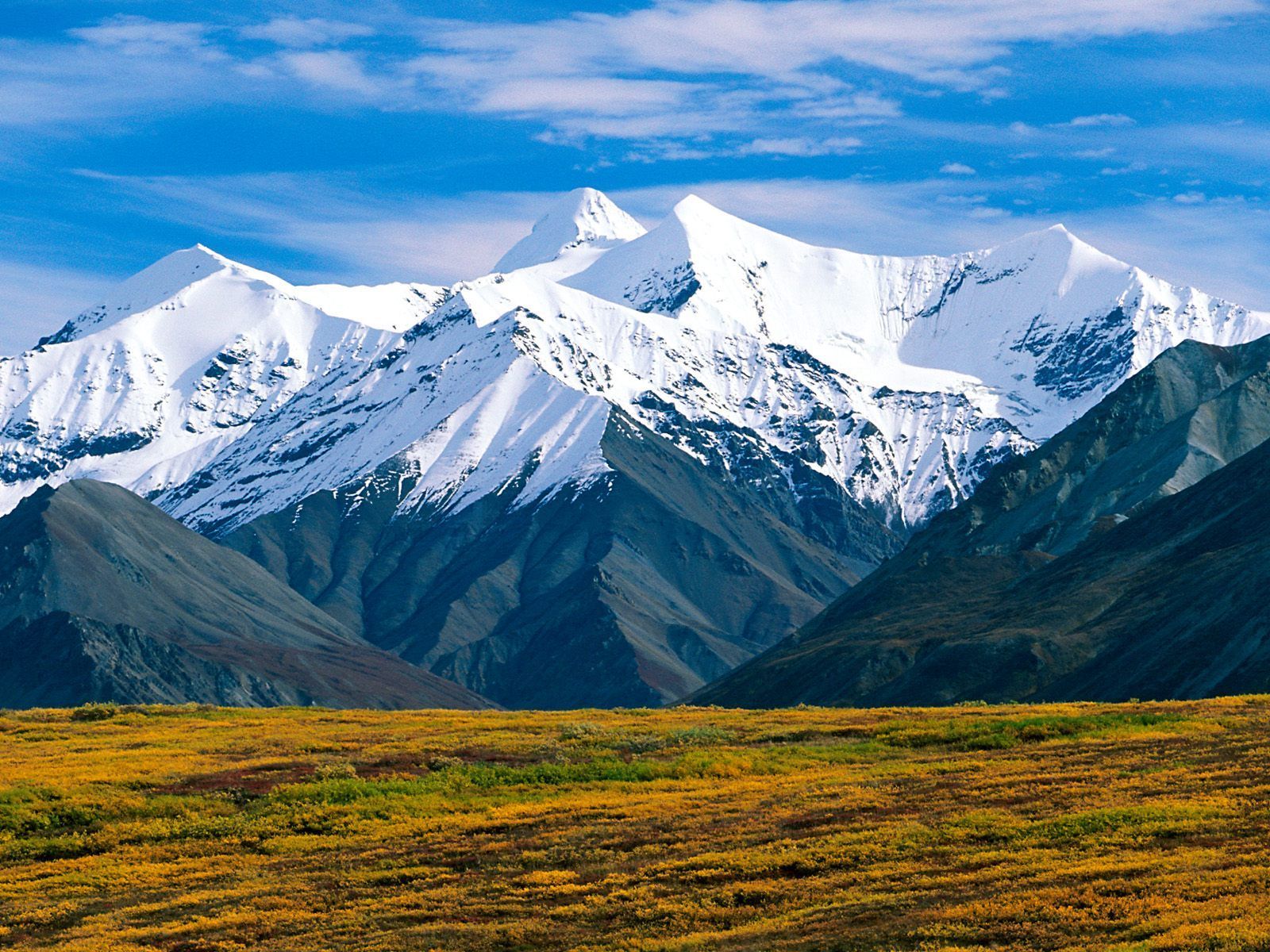 37271070-alaska-wallpaper.jpg