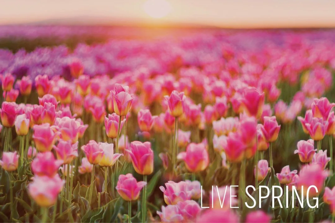 Spring into a Collection of Homes Inspired by the Blooming Season