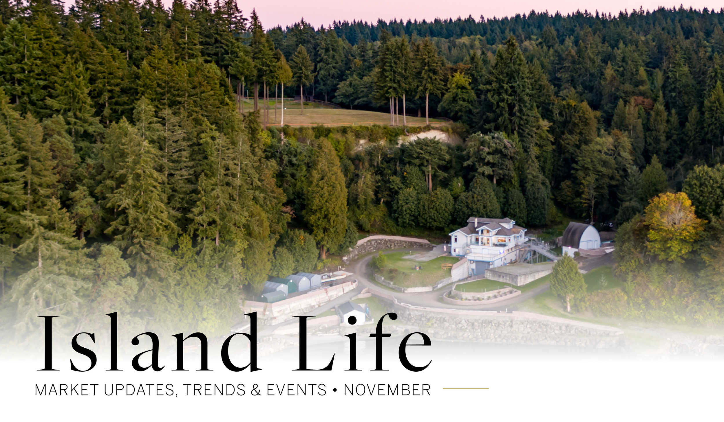 Island Life: November Market Updates, Trends, & Events