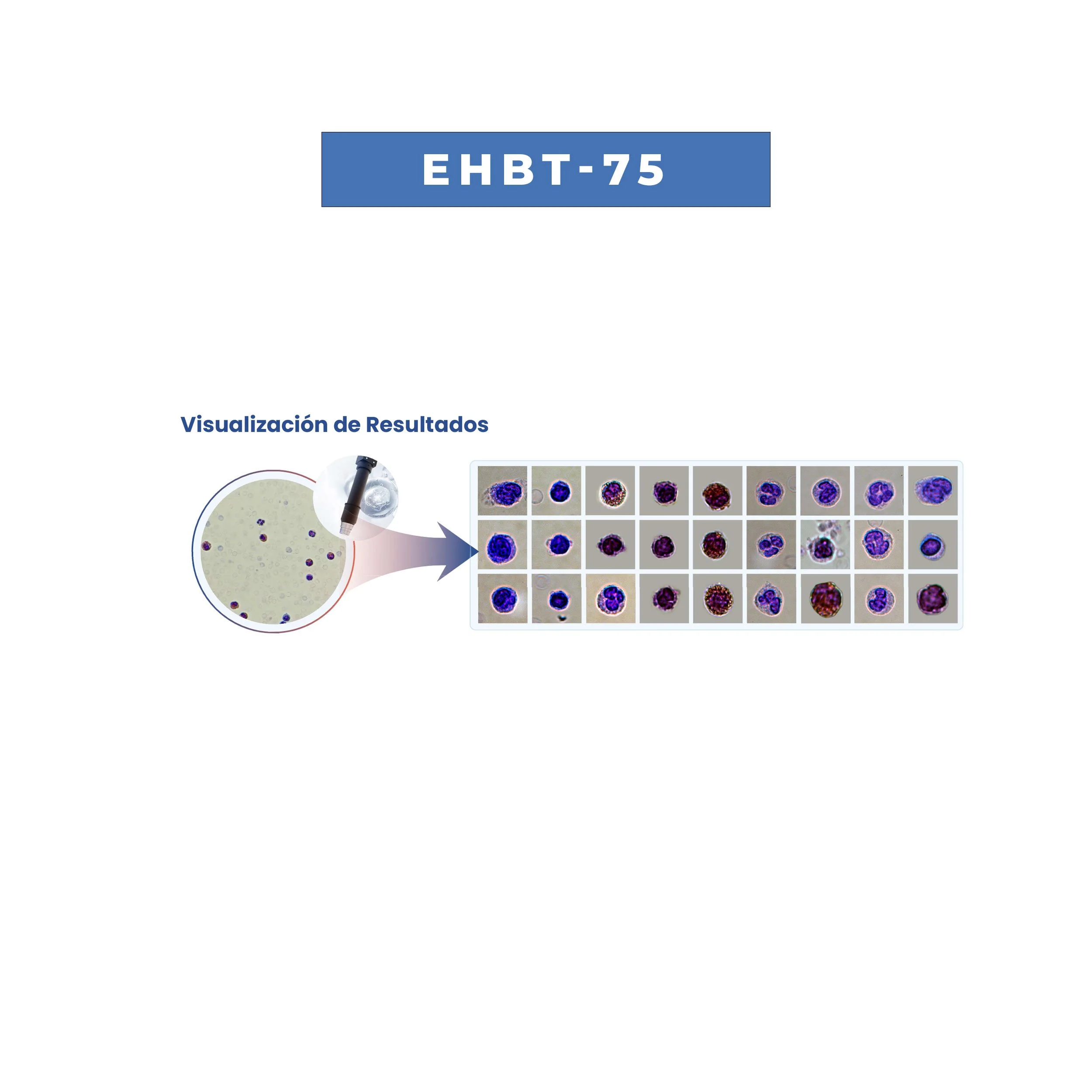 EHBT-75A.jpg