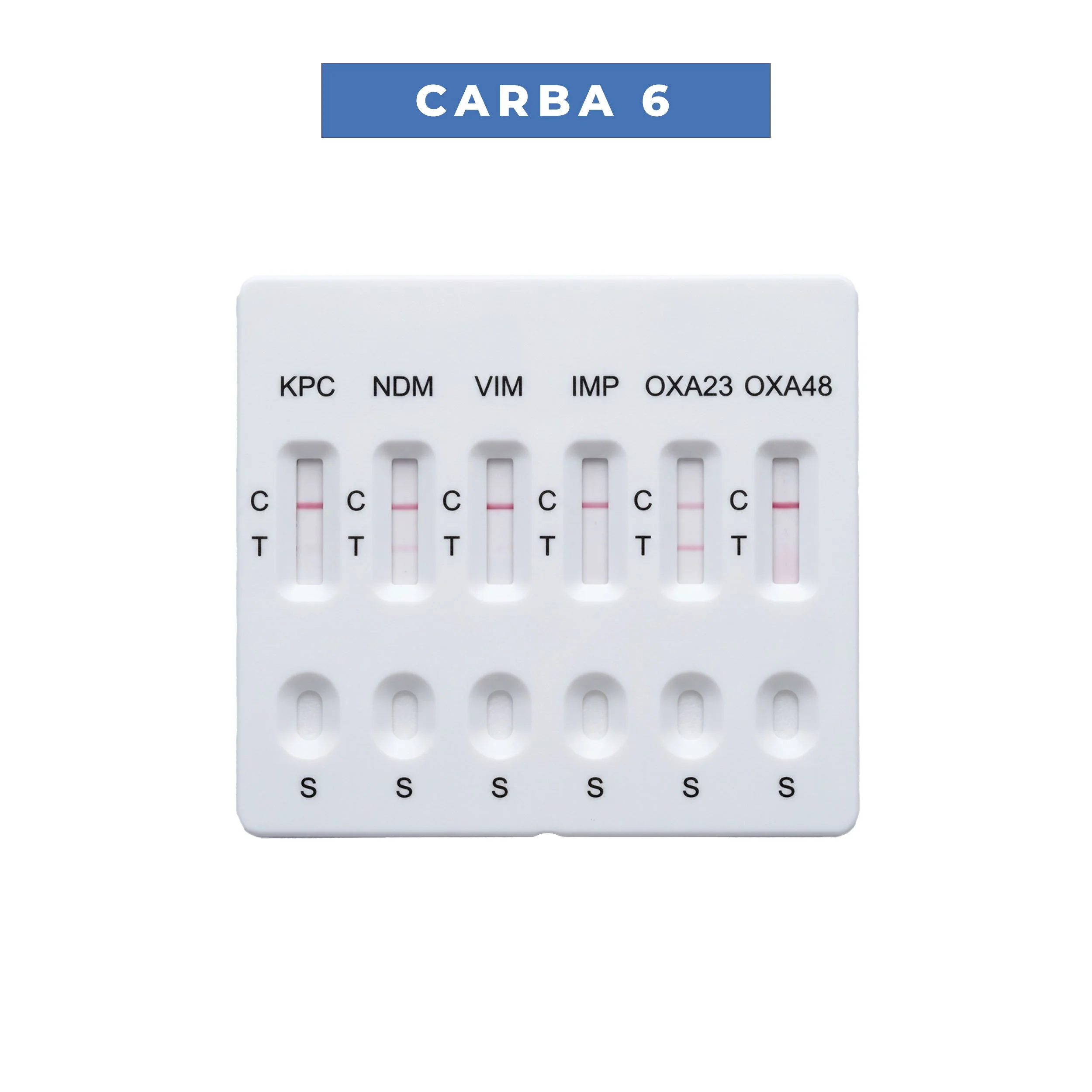 CARBA-6.jpg