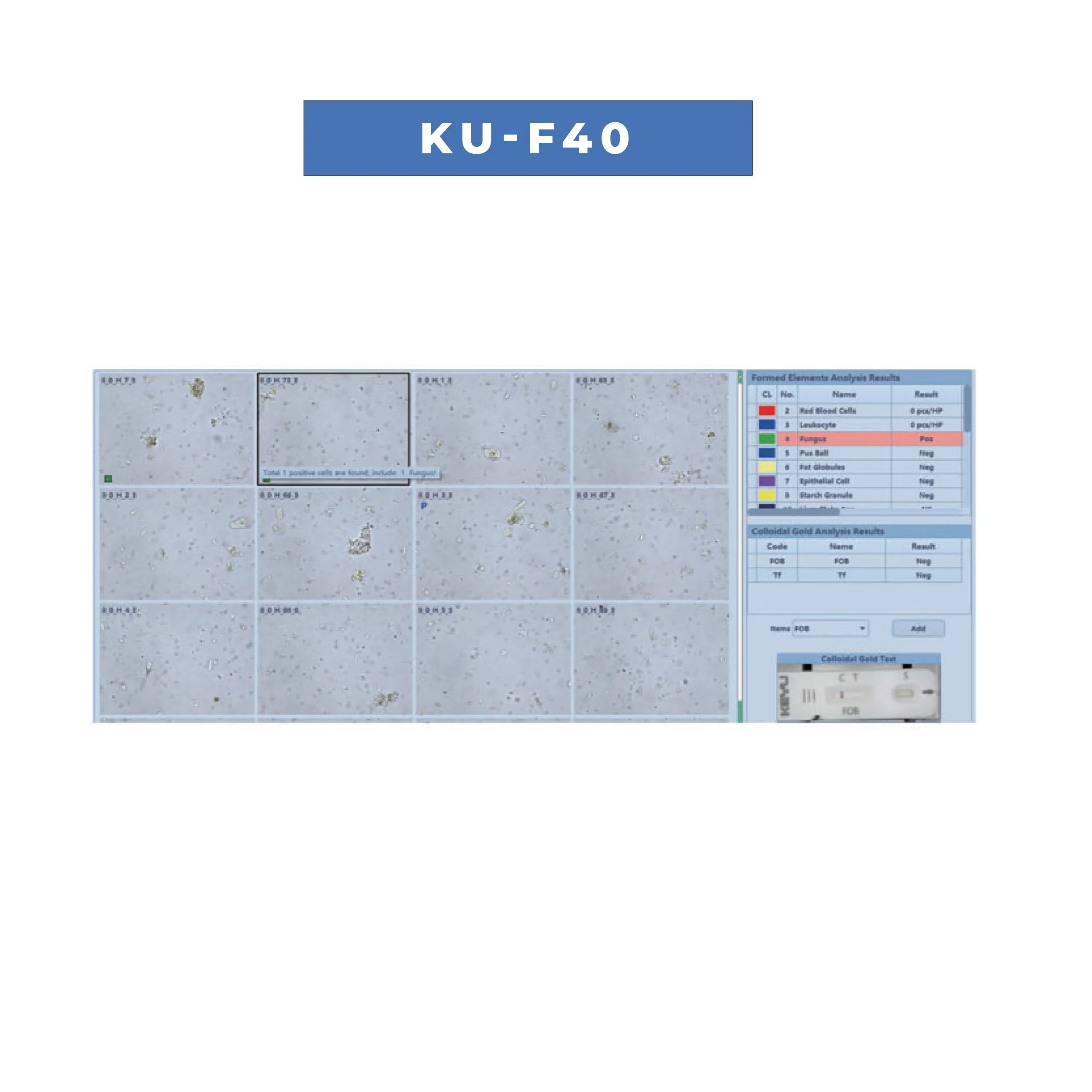 ku-f40B.jpg