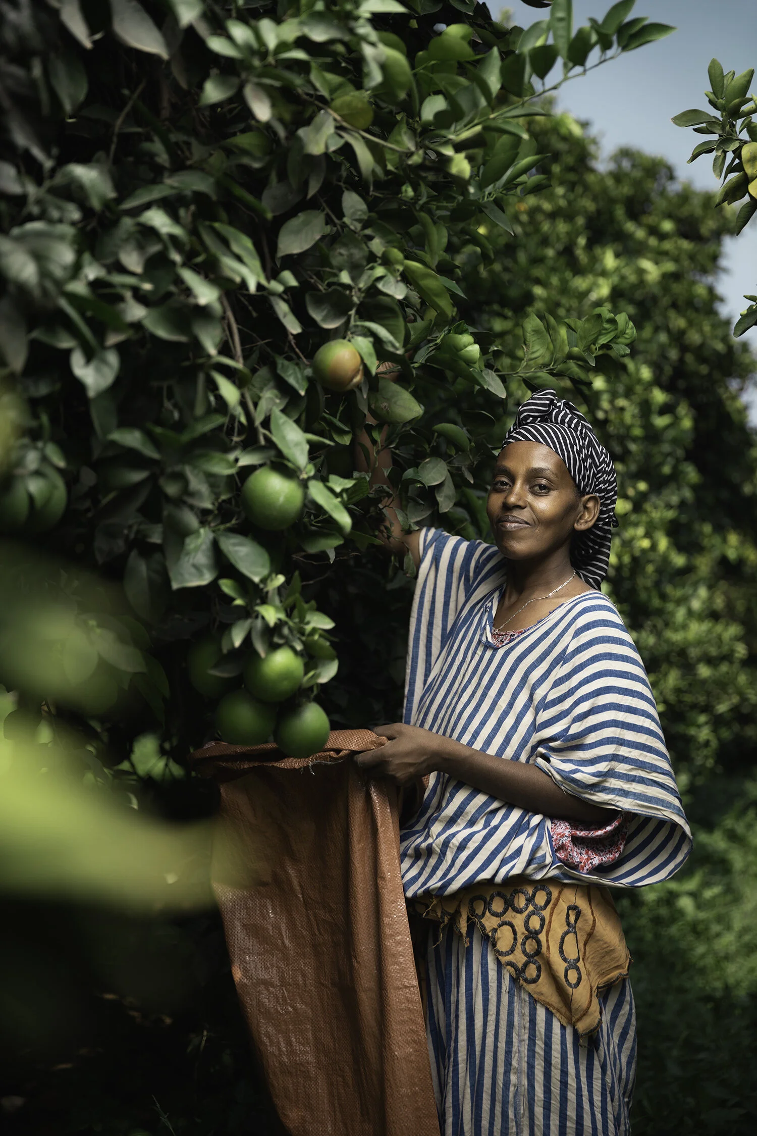 Haramaya University Farm
