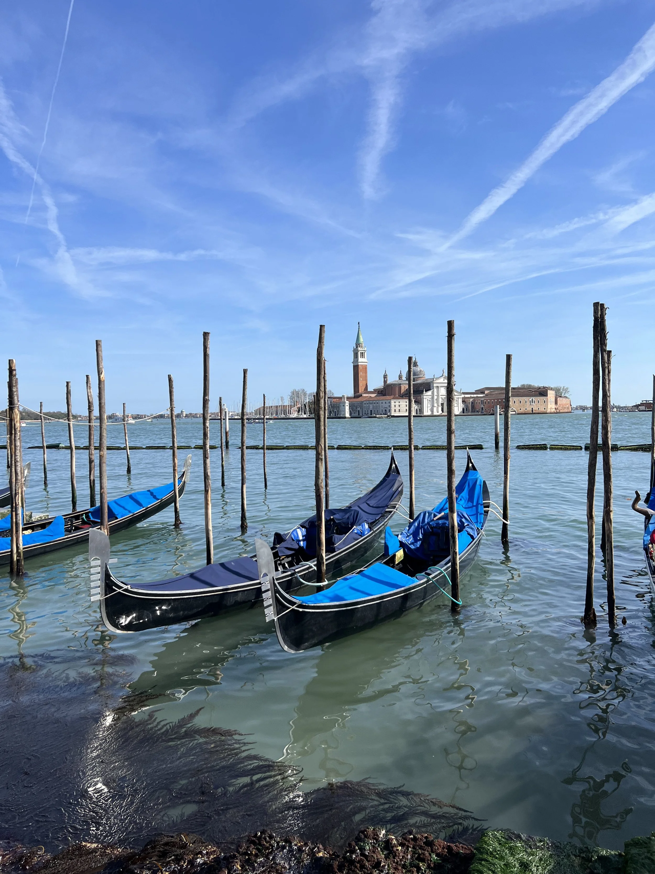 Travel Diary: Venice