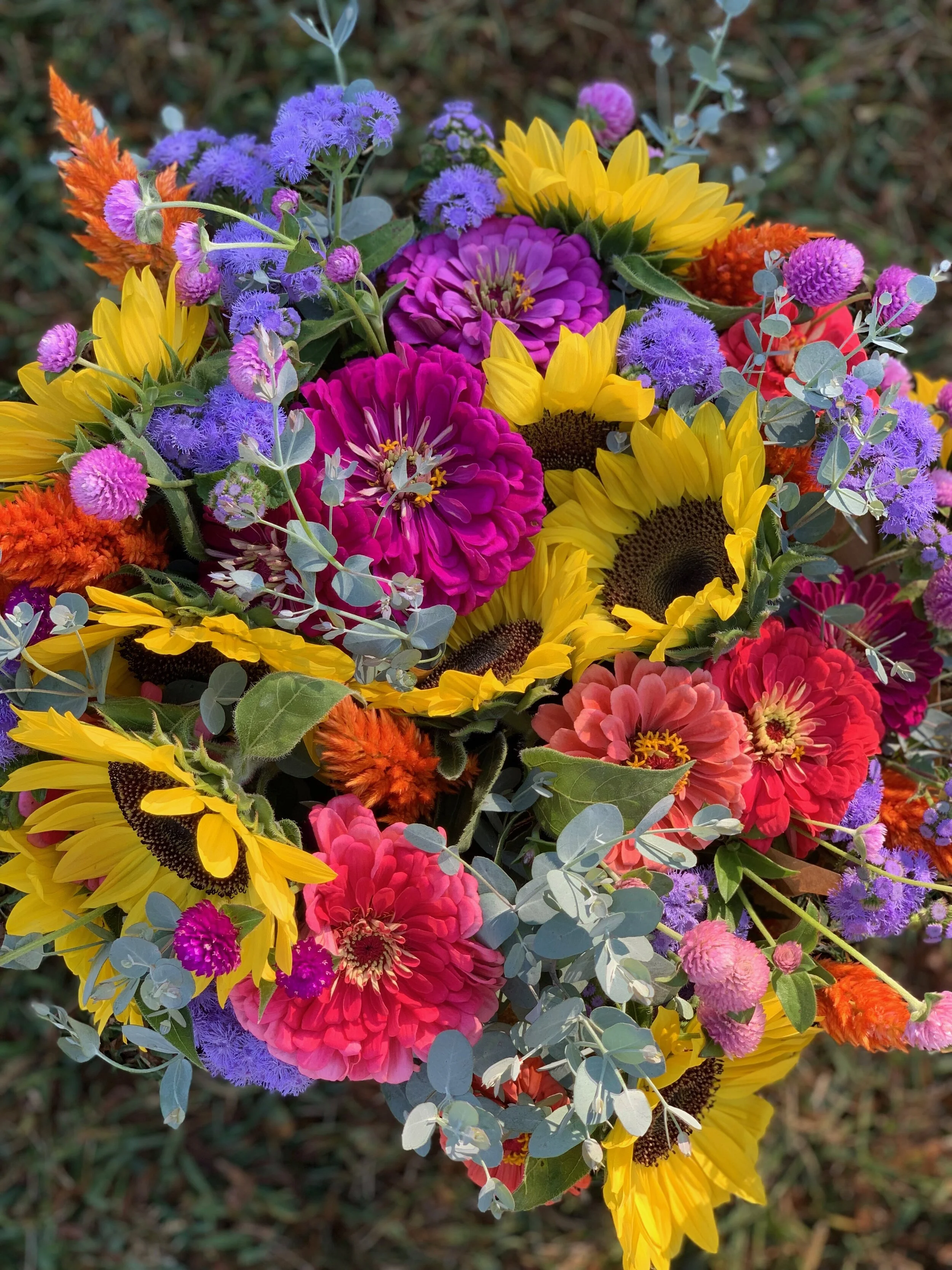 Local Alternatives to Valentine's Day Gift Giving