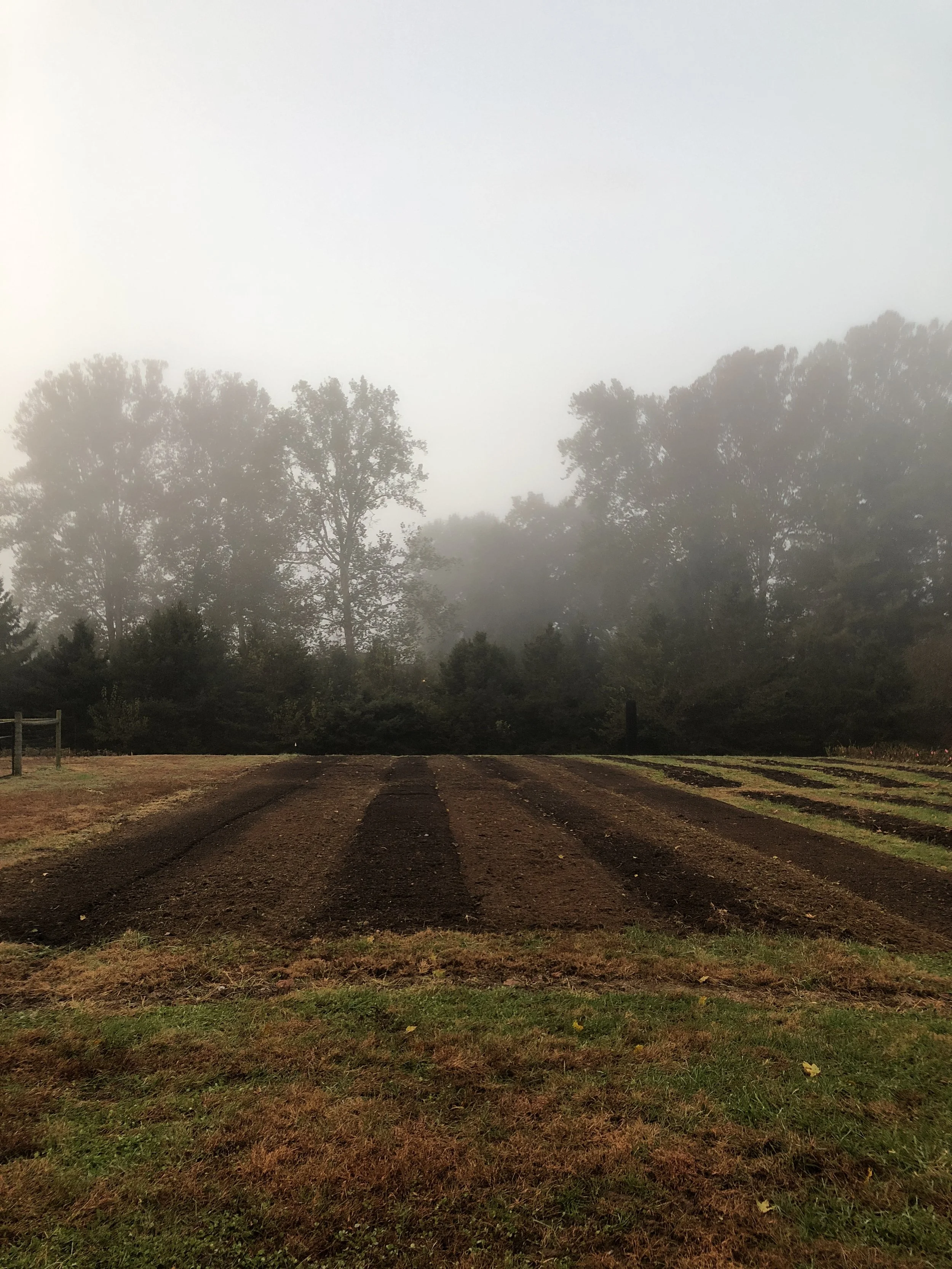 How to Make Beautiful Compost
