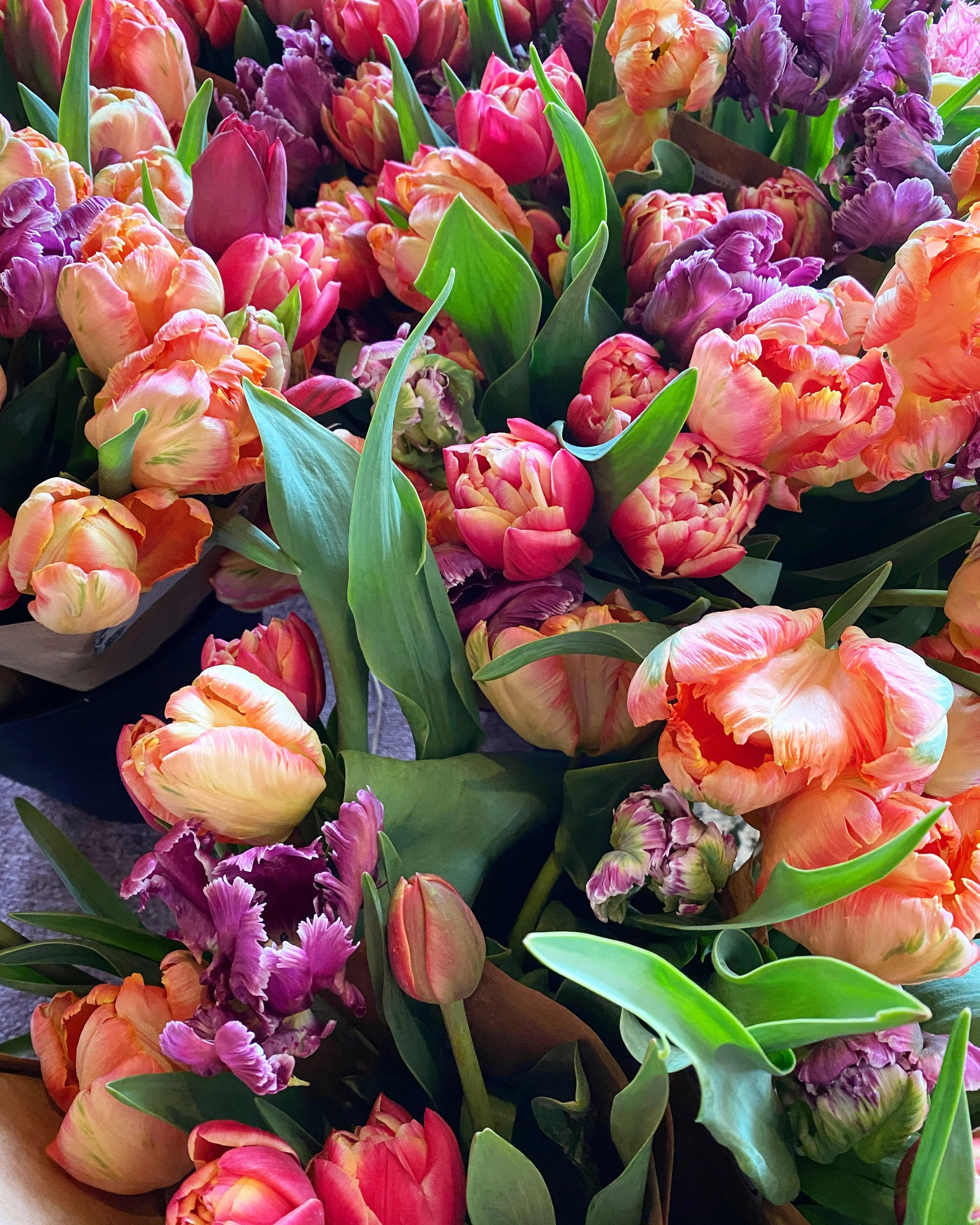 Easy Bulb Forcing Guide