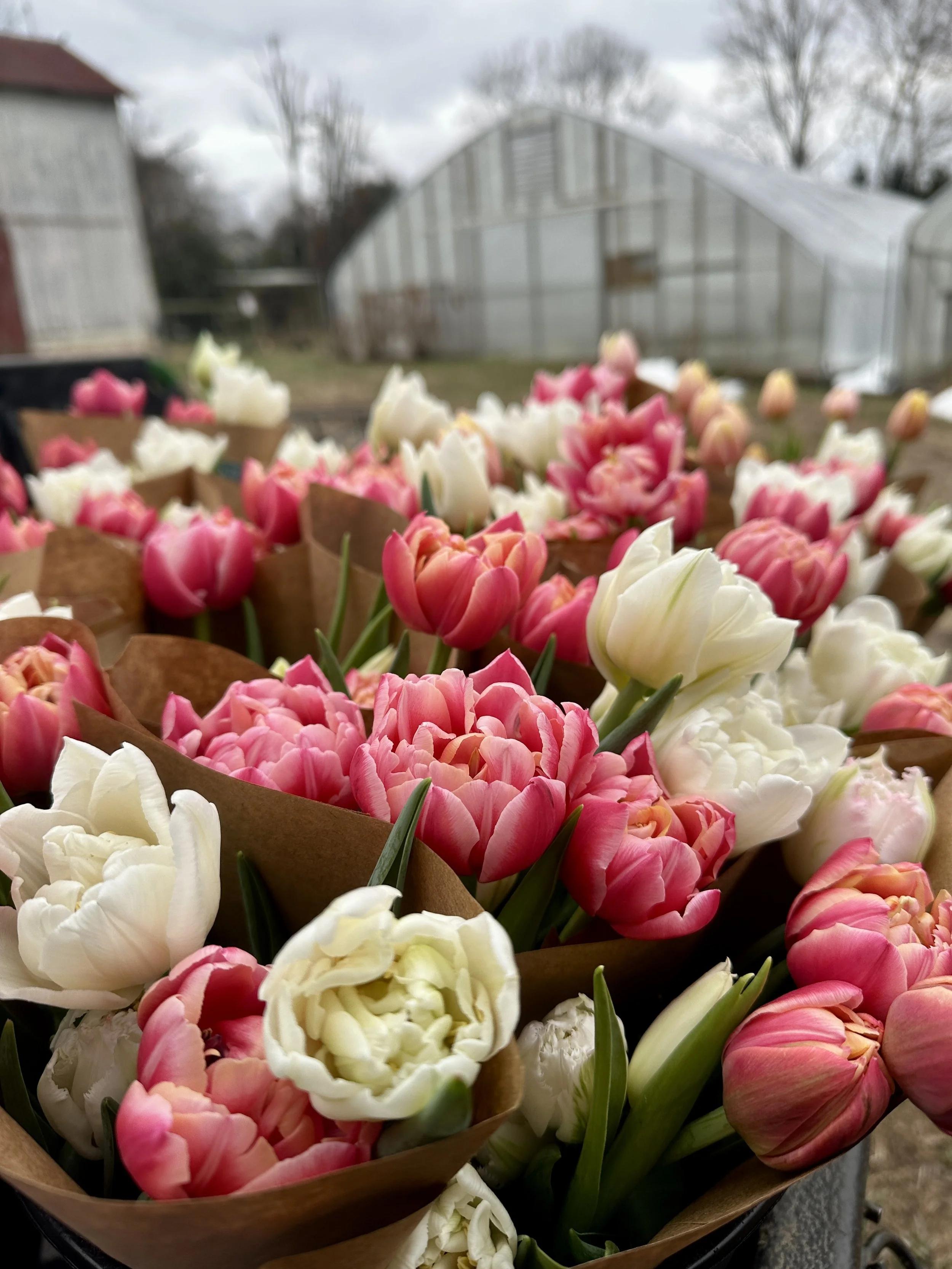 Minted Vintage Market