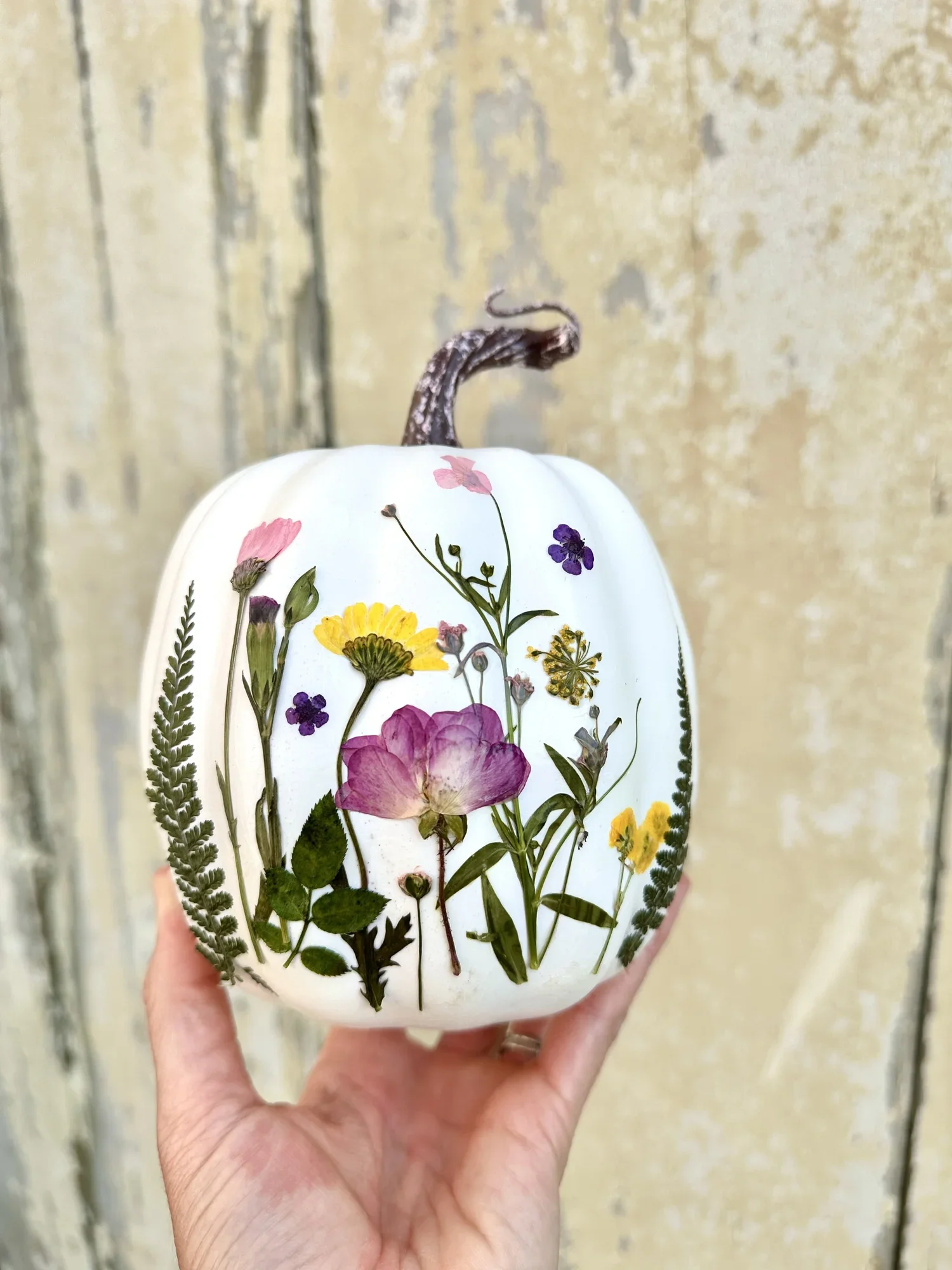 Pressed Flower Pumpkin Workshop