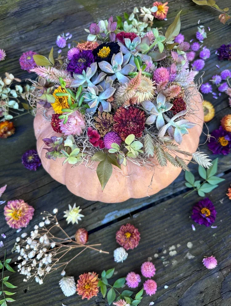 Succulent &amp; Dried Flower Workshop