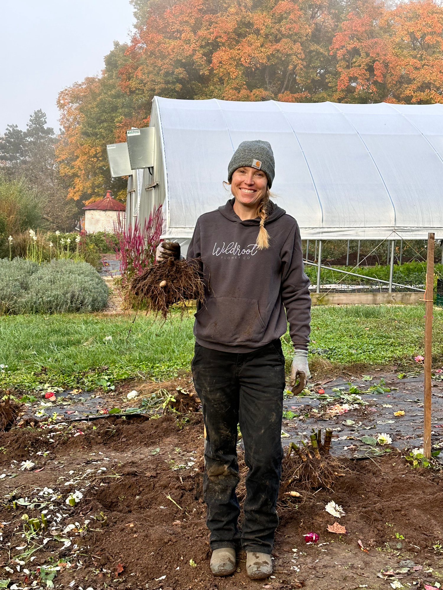 Dahlia Bootcamp