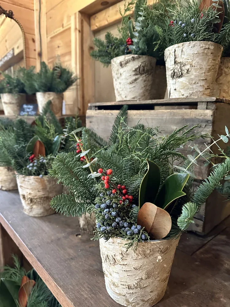 Holiday Centerpiece & Ornament Workshop