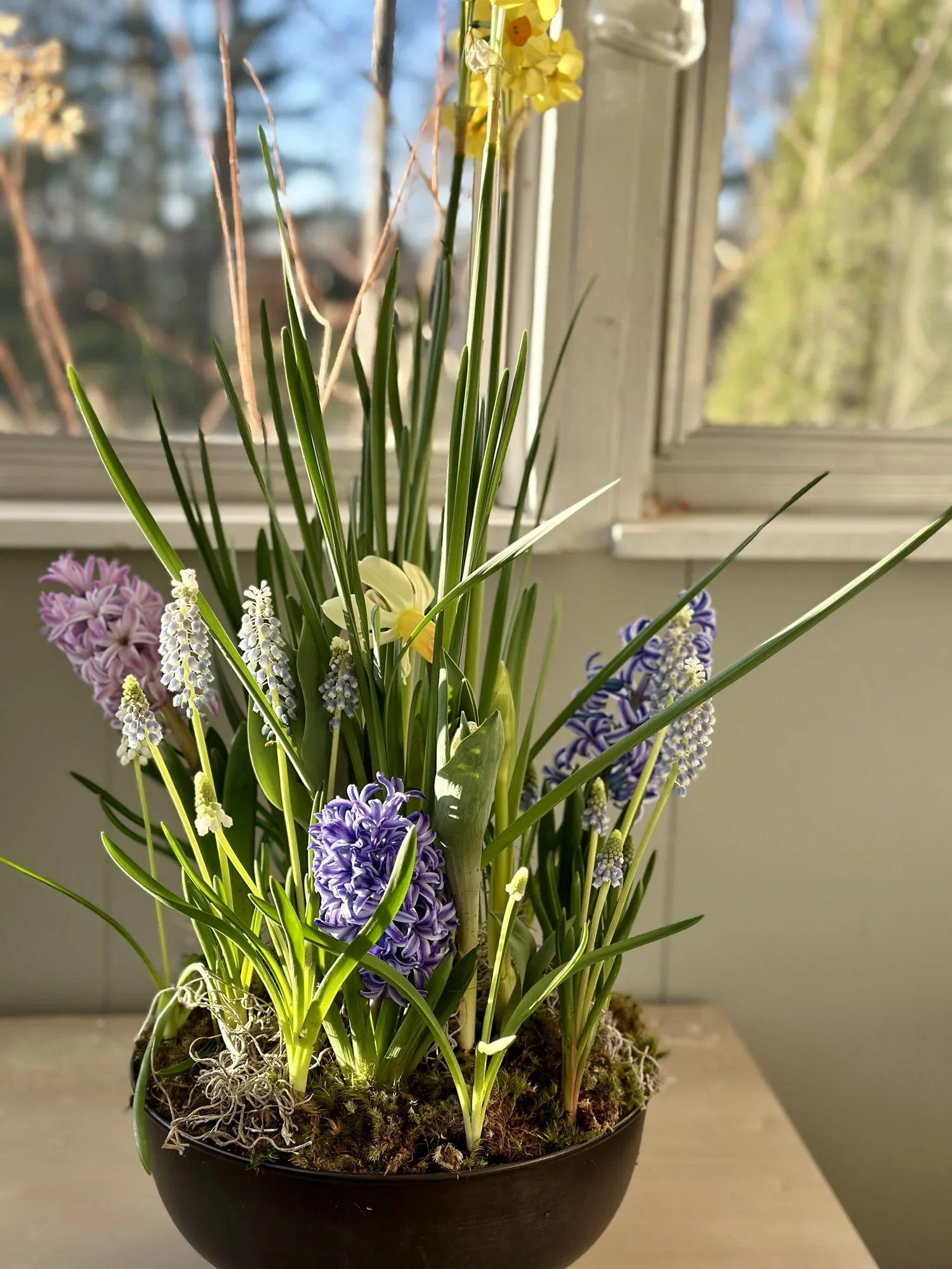 Spring Bulb Garden Workshop