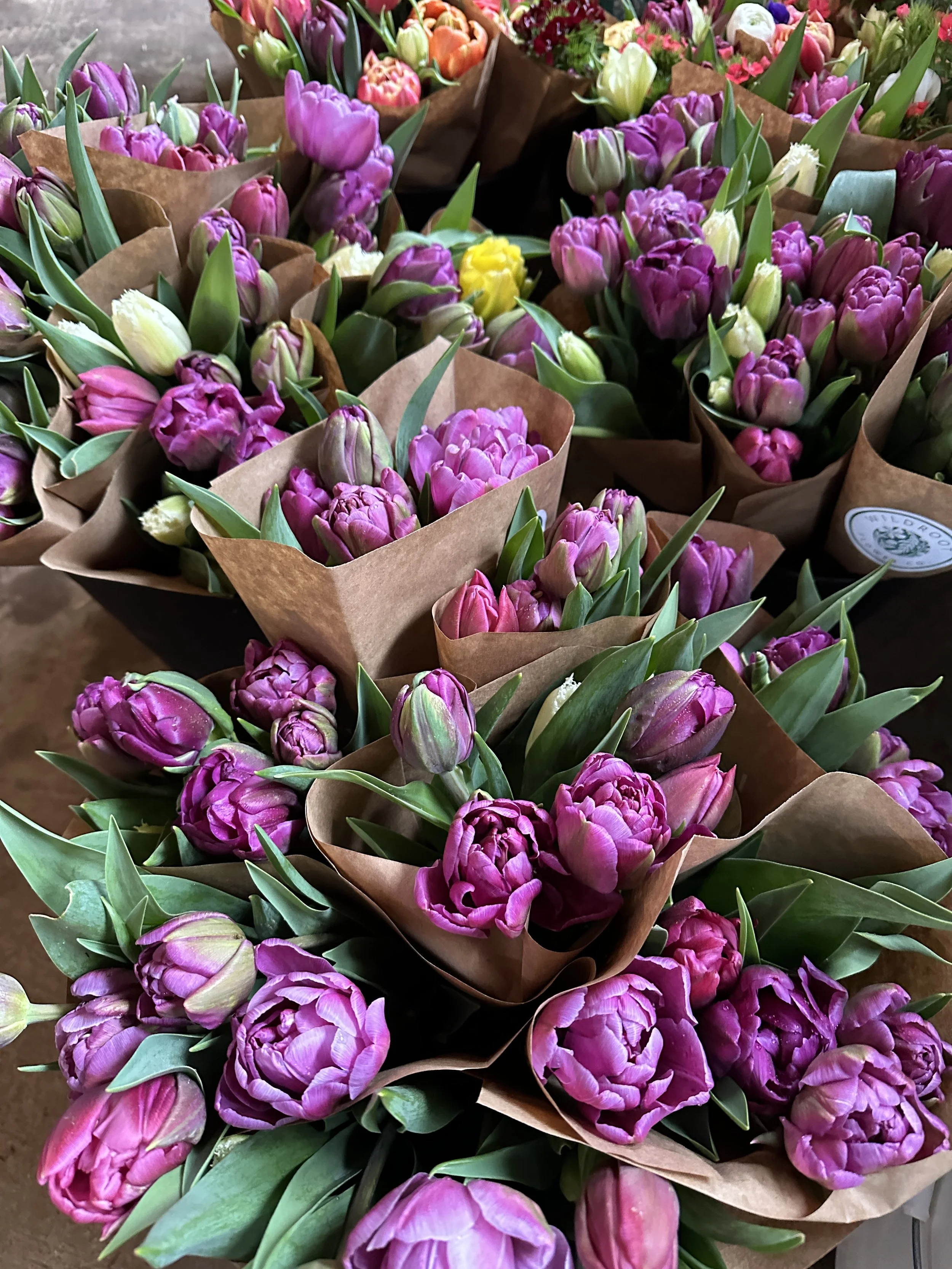 Winter Flower Club 2026