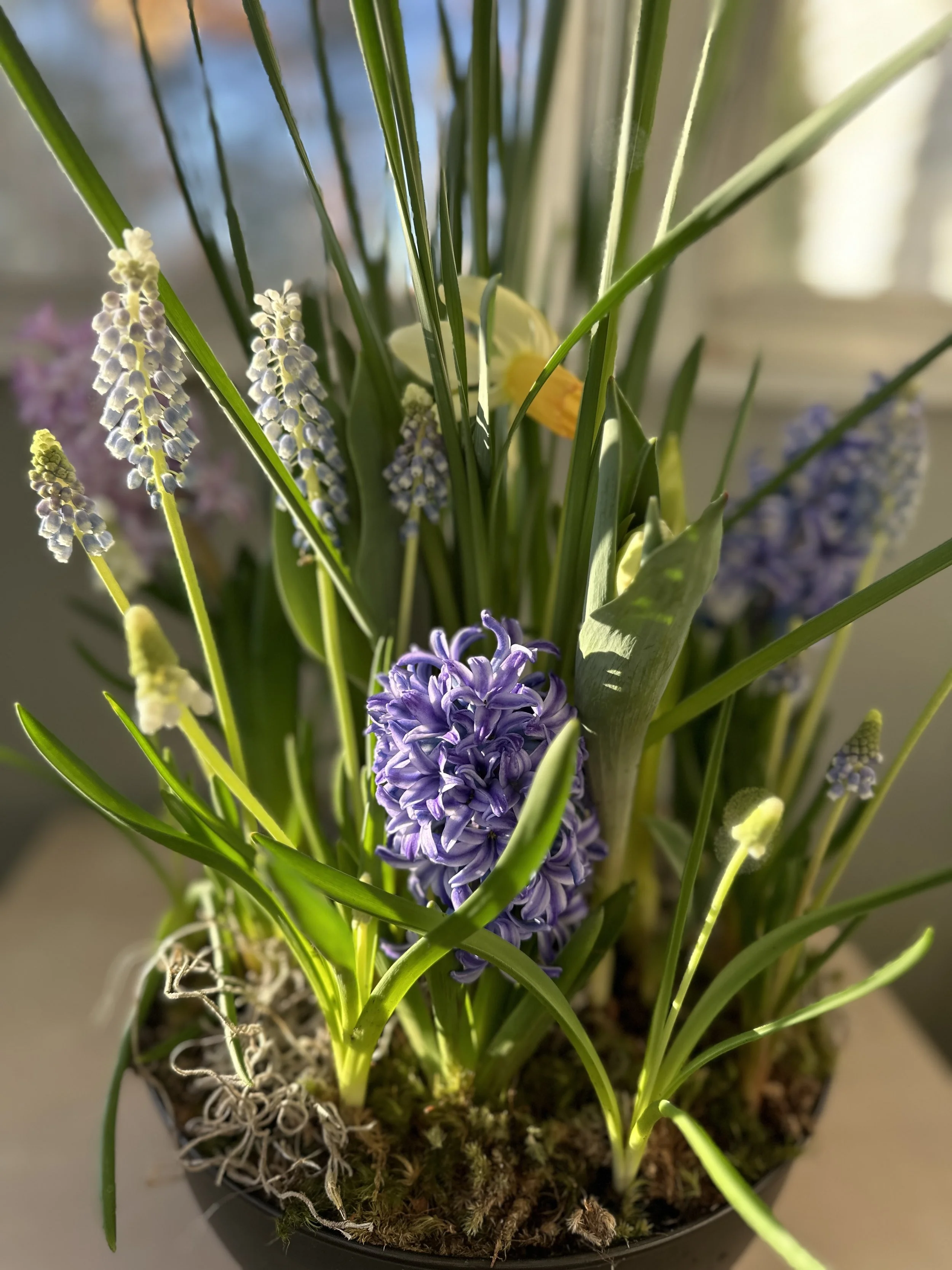 Spring Bulb Experience