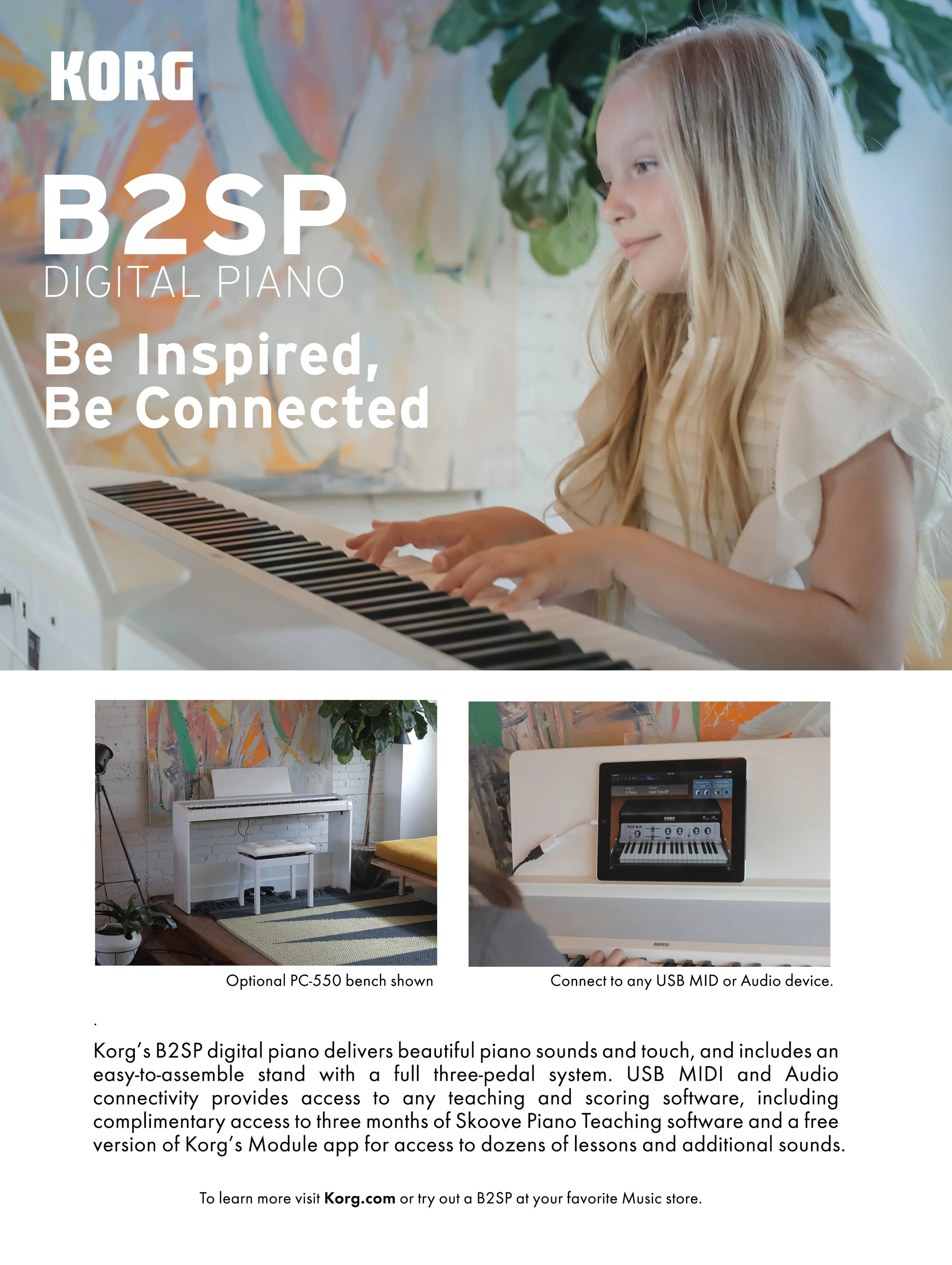 B2_AD1 (1).jpg