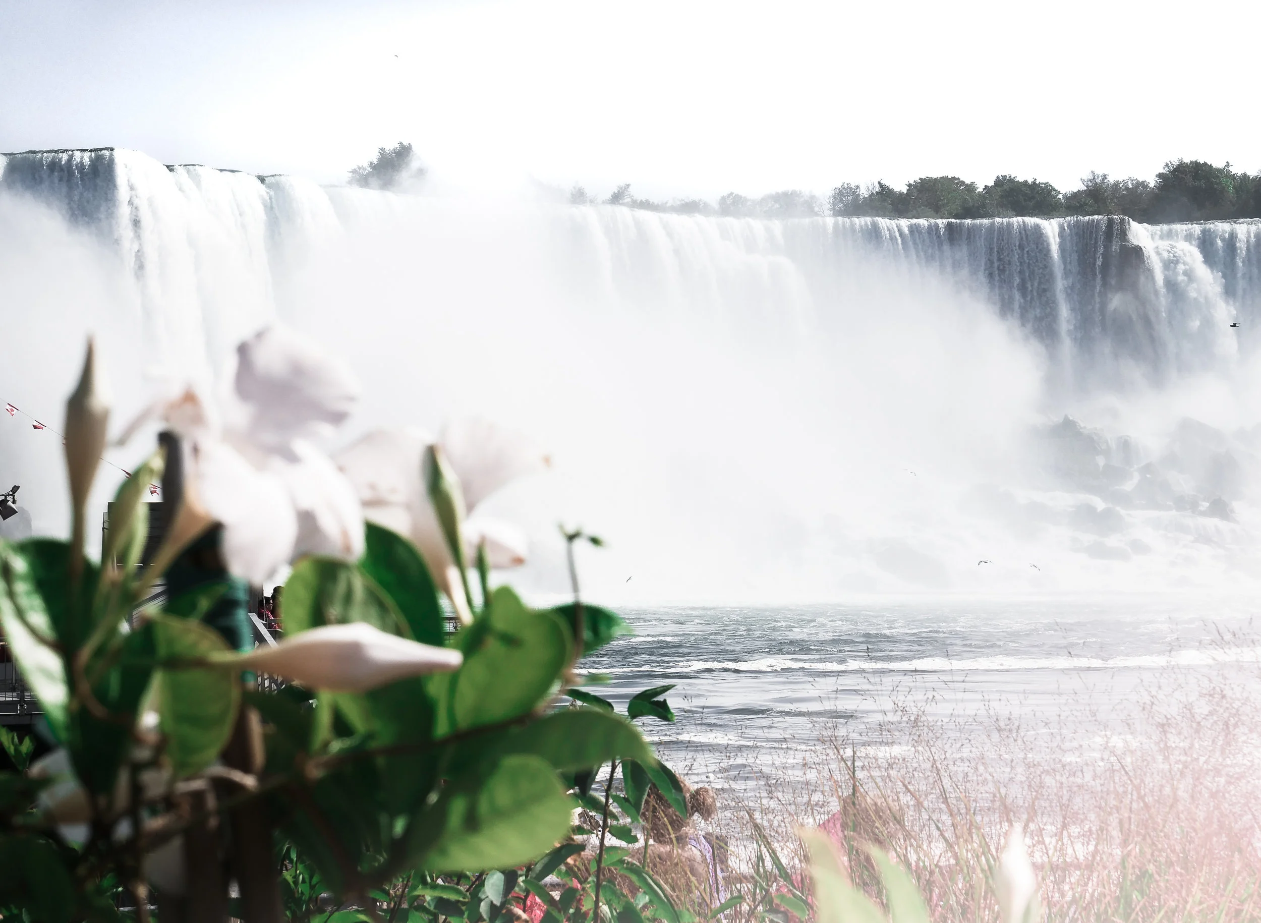 This photo was captured after we offloaded from the boats that go up to the falls. To get this angle, you'll need to take the boat tour!