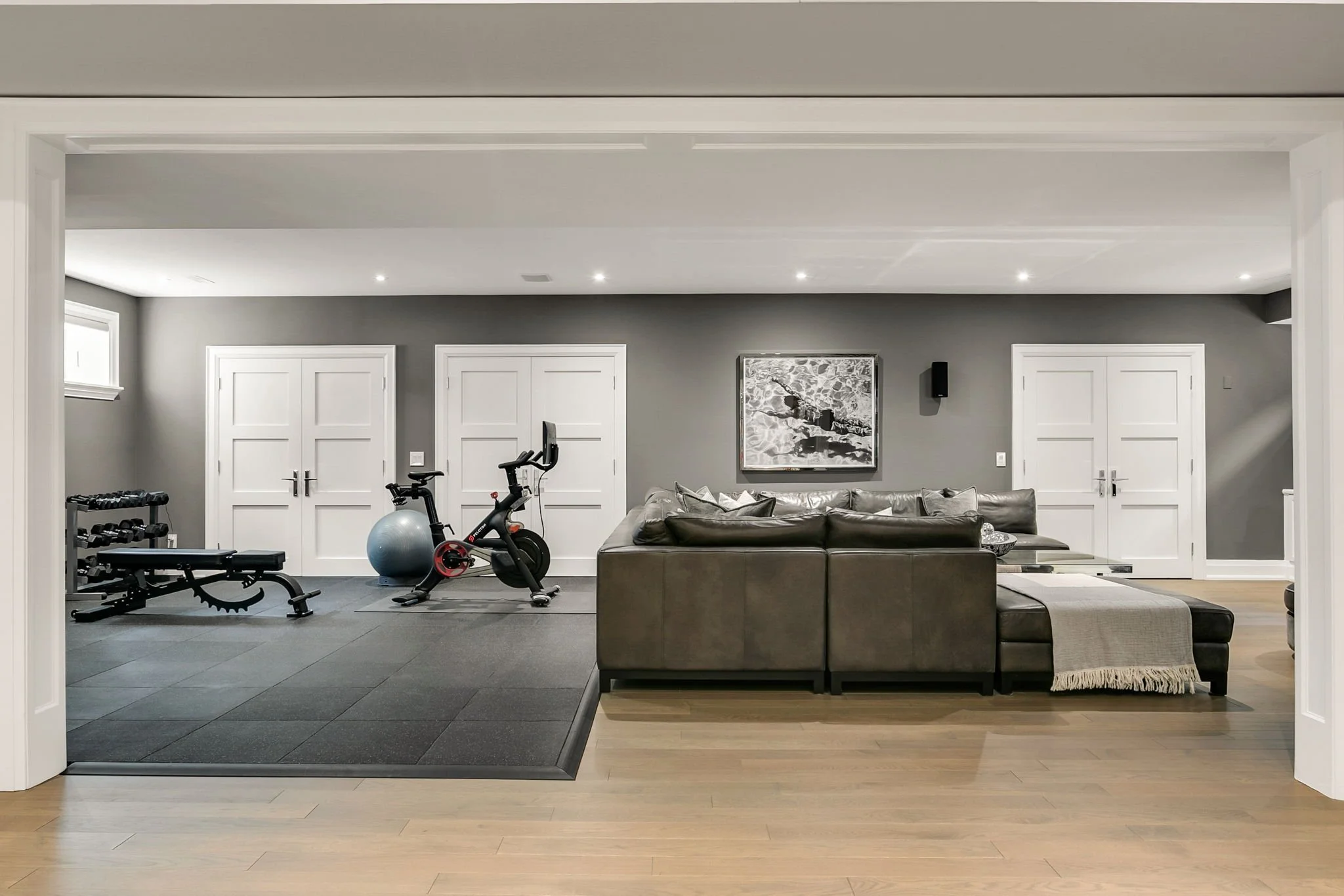 127-web-or-mls-60_003_Lower Level.jpg