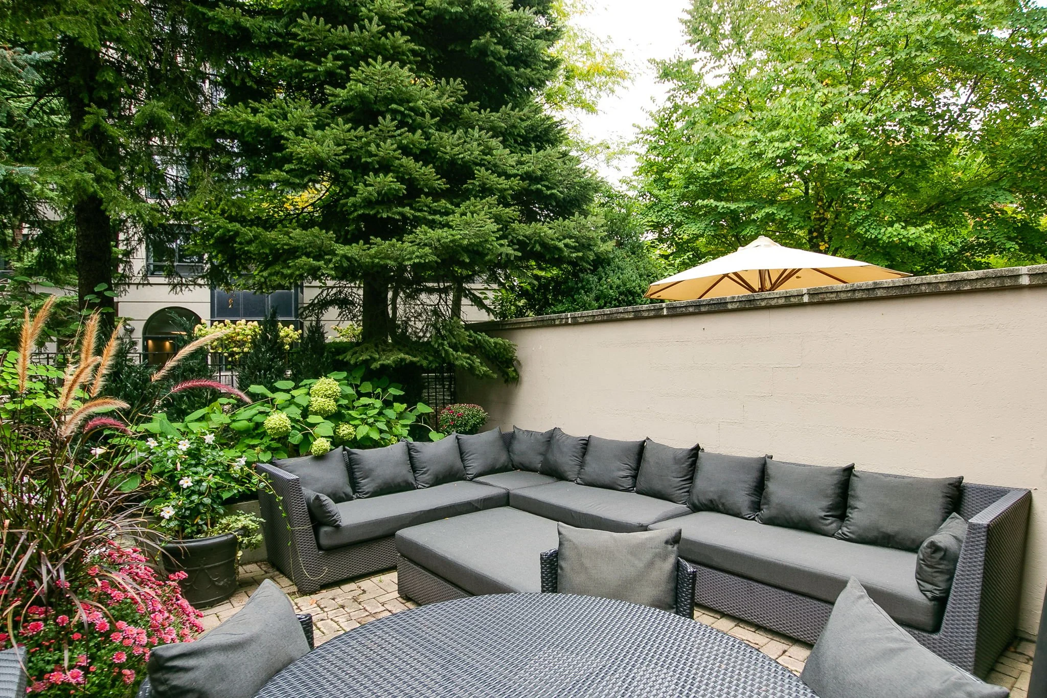 76-web-or-mls-74_007_Backyard.jpg