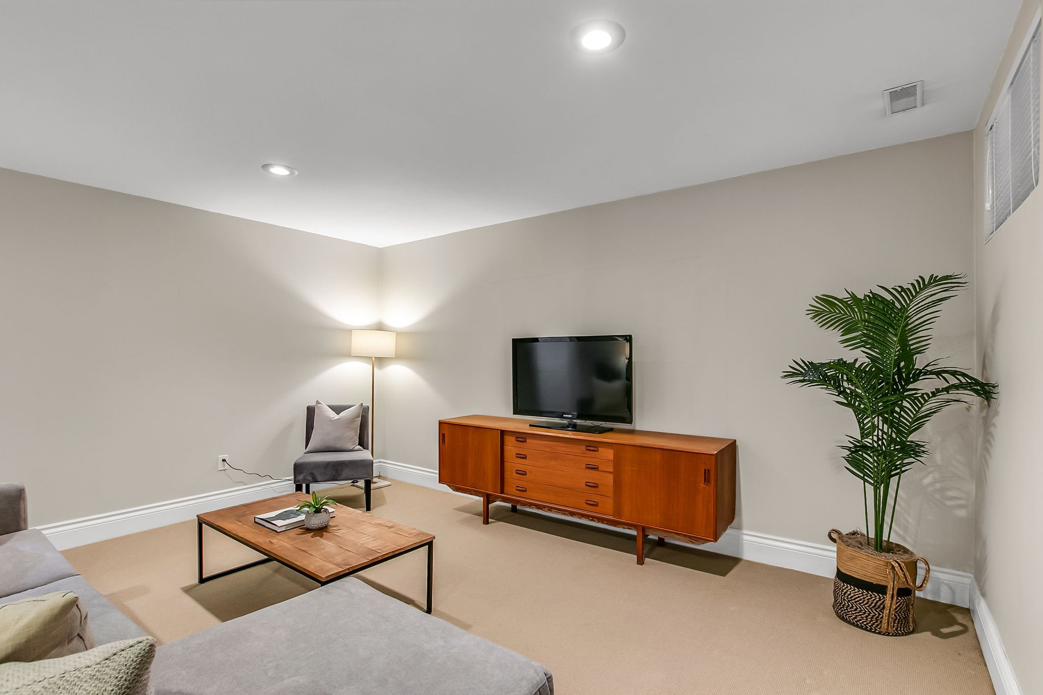 79-web-or-mls-60_003_Lower Level.jpg