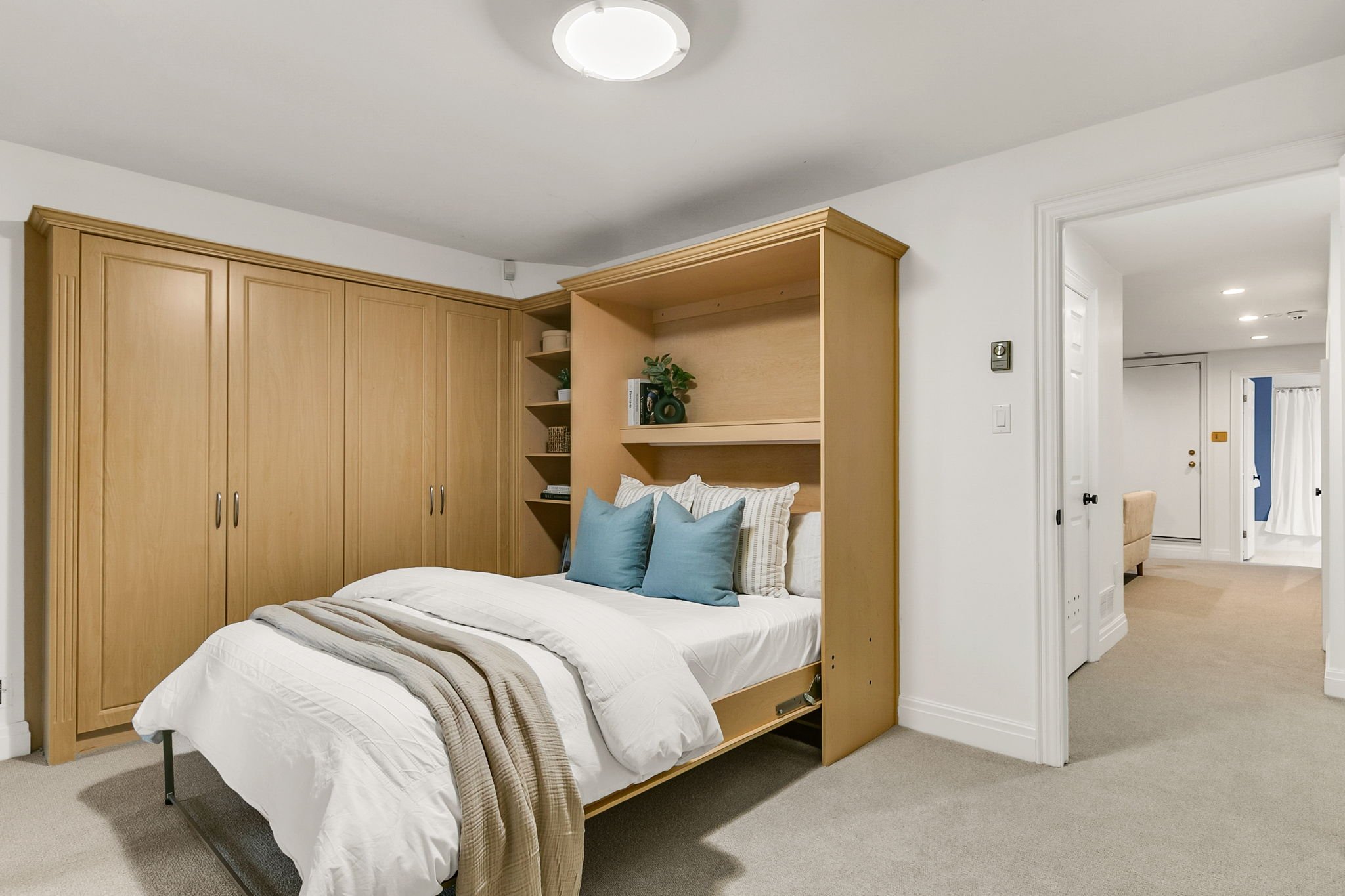 92-web-or-mls-60_009_Lower Level.jpg