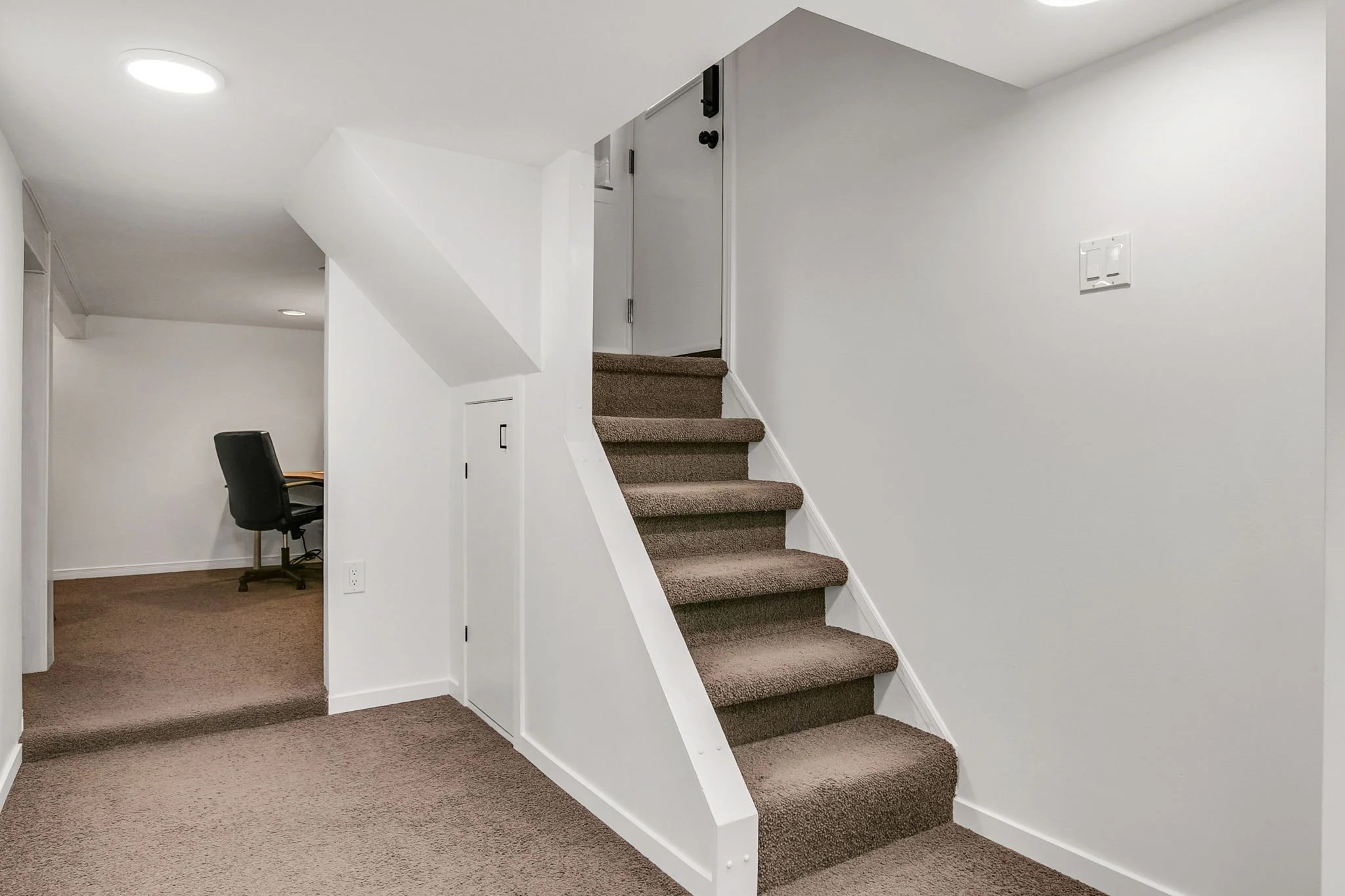 78-web-or-mls-60_008_Lower Level.jpg