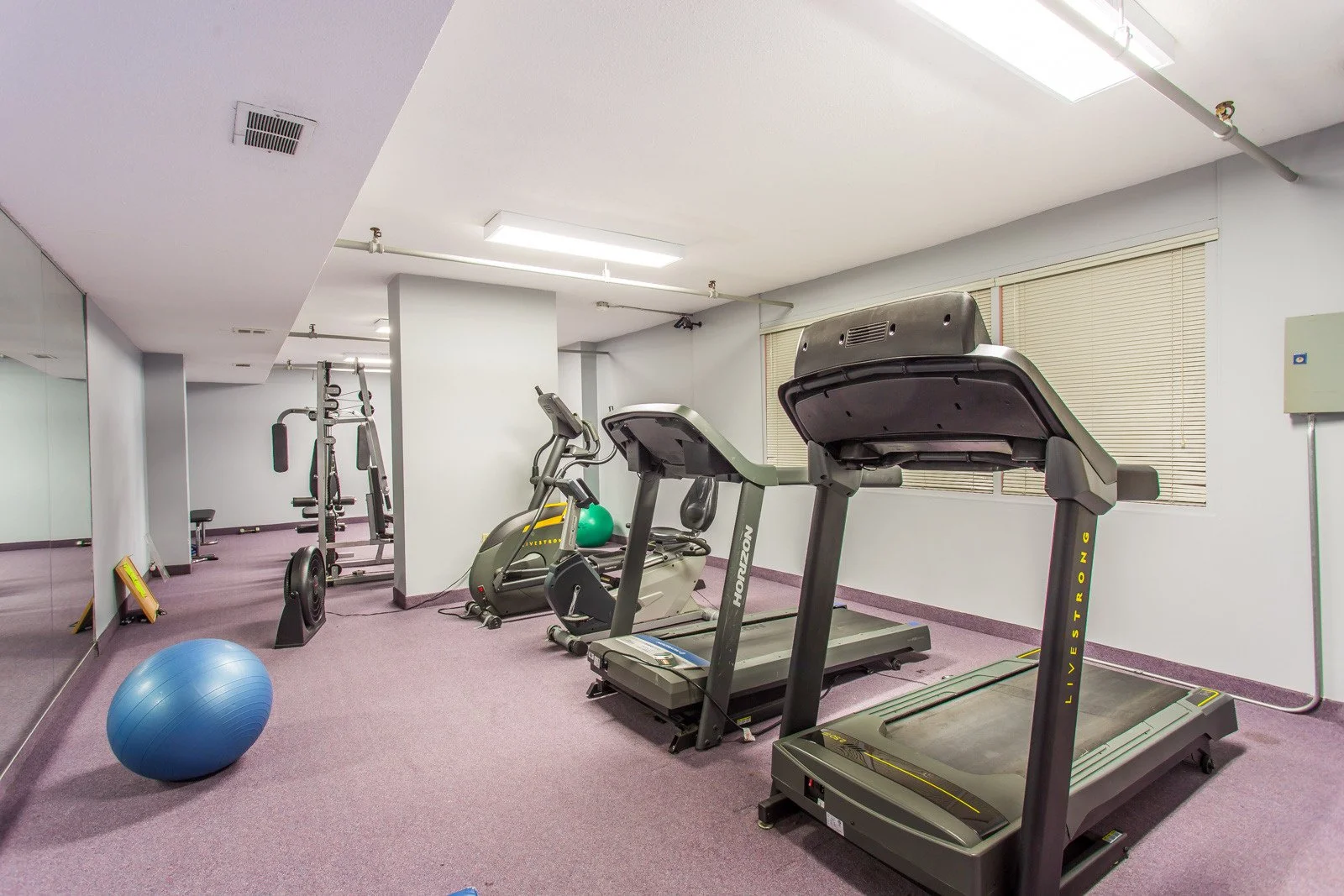 mls_hd_1-13 (10).jpg