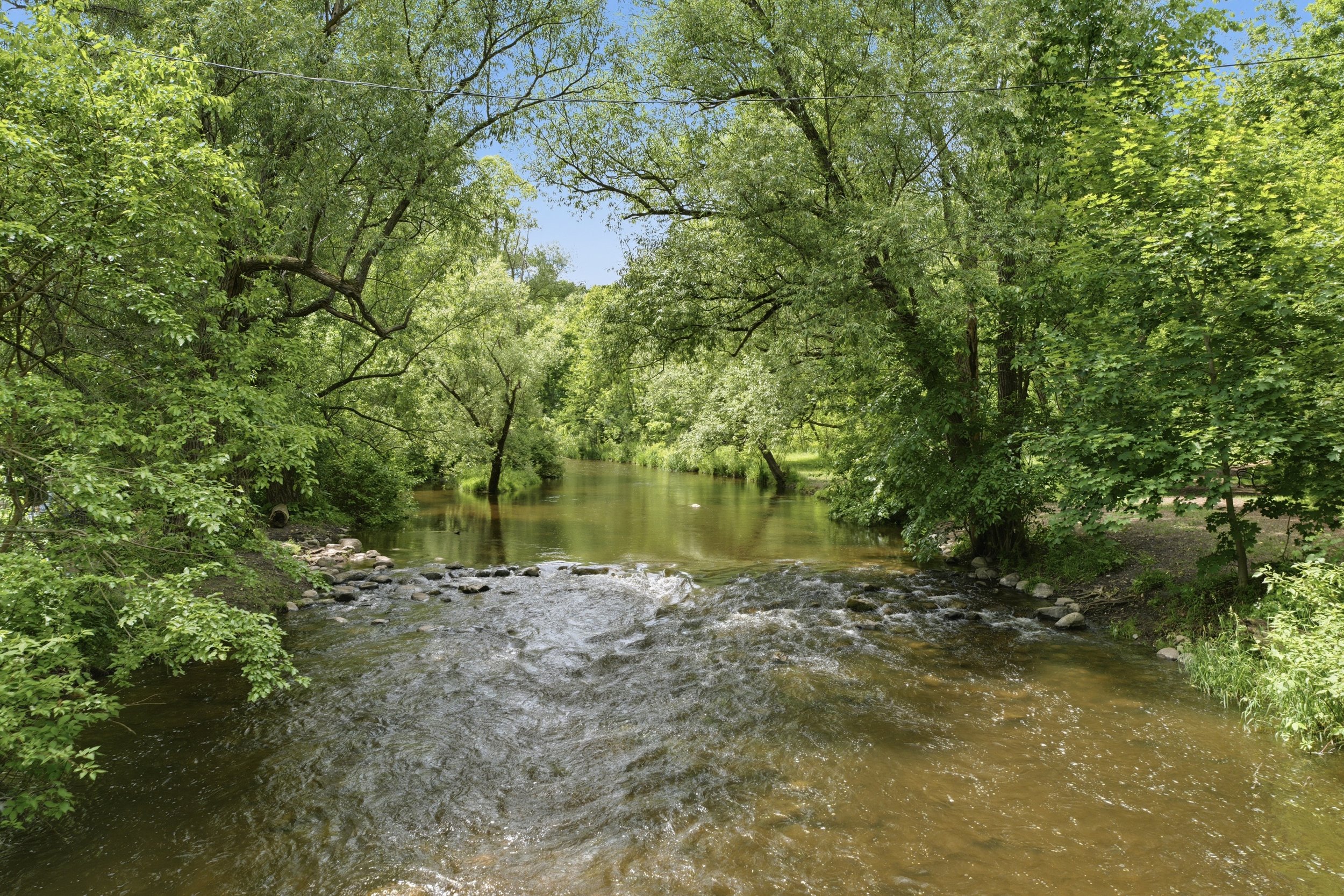 Web_061.jpg
