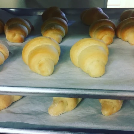 Thanksgiving dinner rolls
