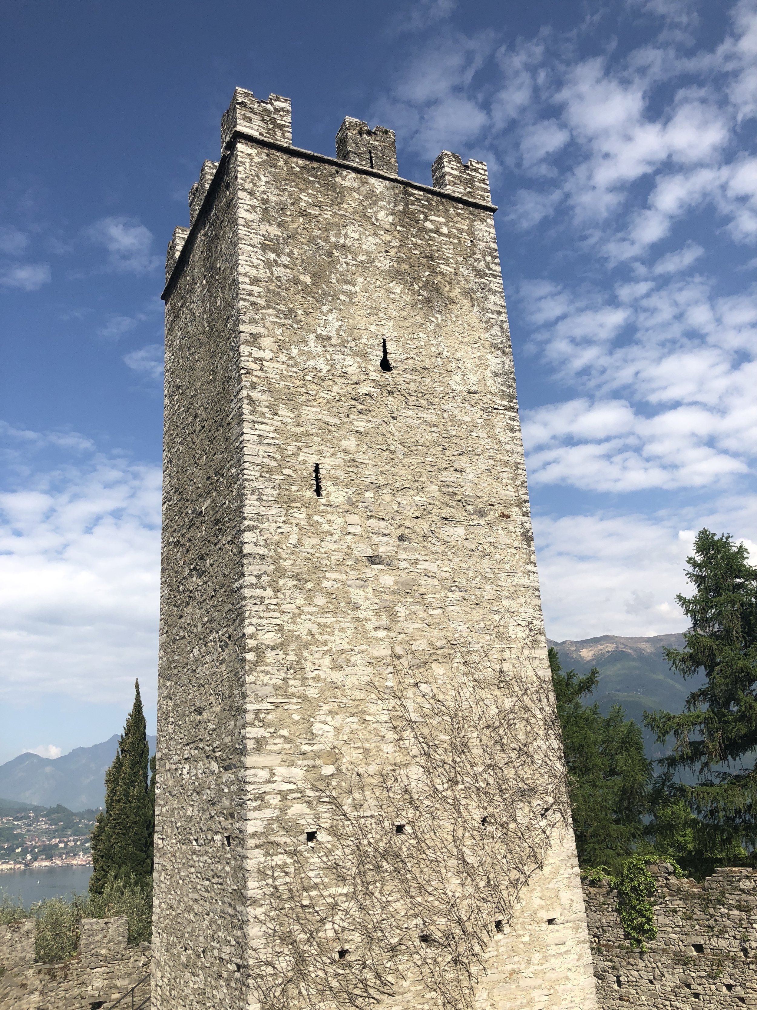 castello de vizio