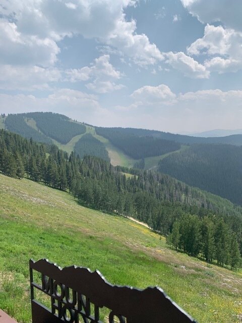stunning view from vail mtn