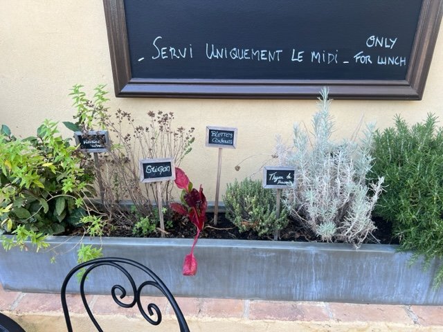 herb garden at Bello Visto restaurant, Gassin