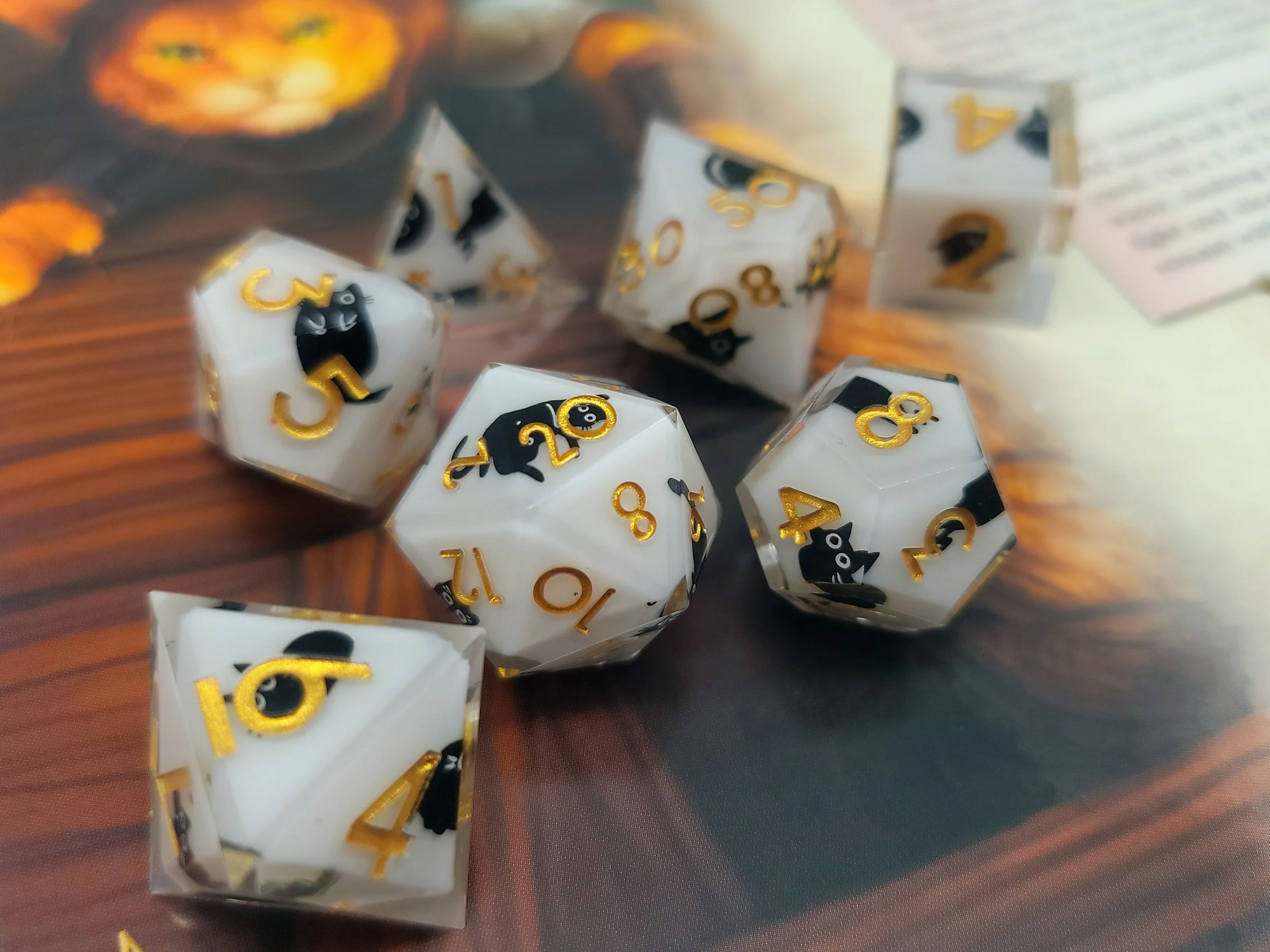 Black Cats on White Sharp Edge