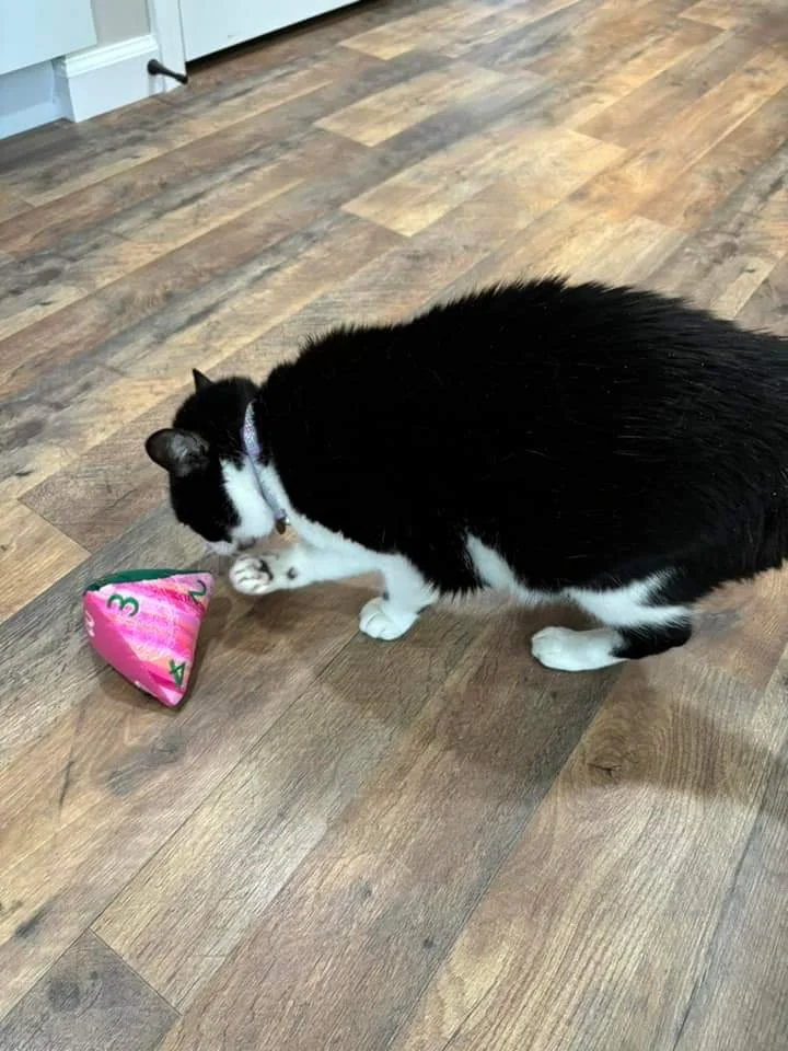 2024-06-30 08.58.33.jpg