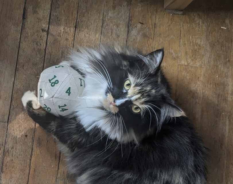 Chaussette with D20 Cat Toy.png