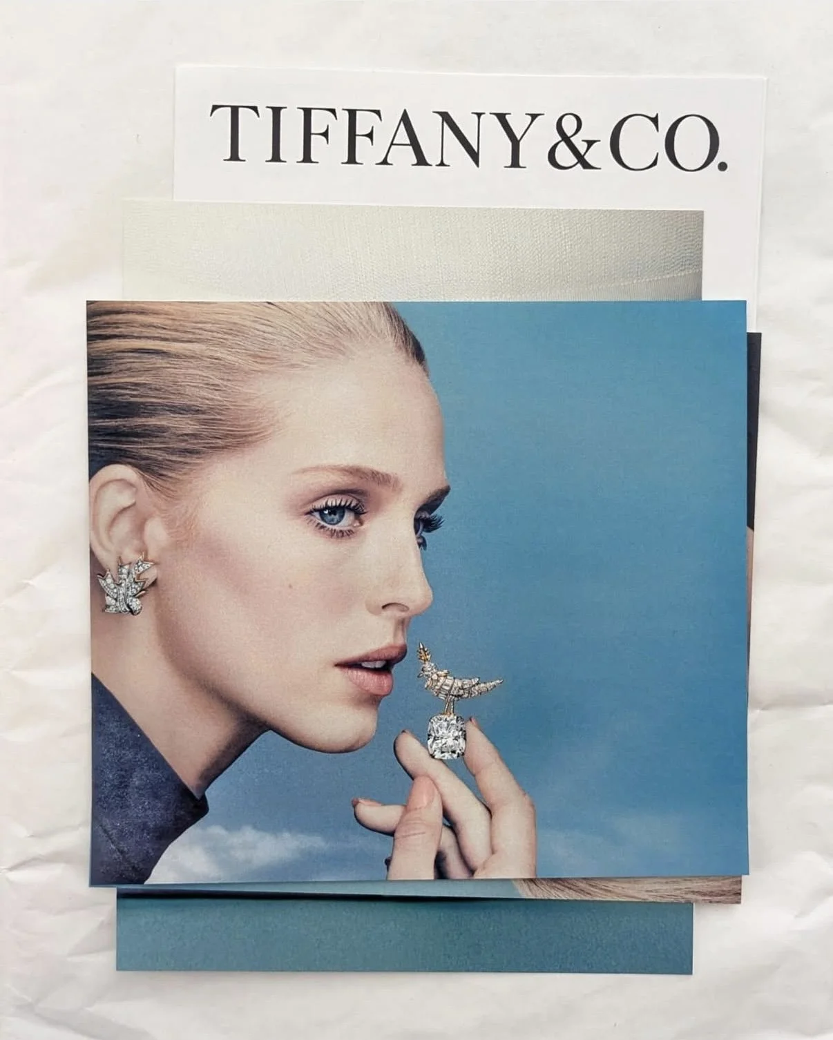 Tiffany & Co. High Jewelry Campaign
