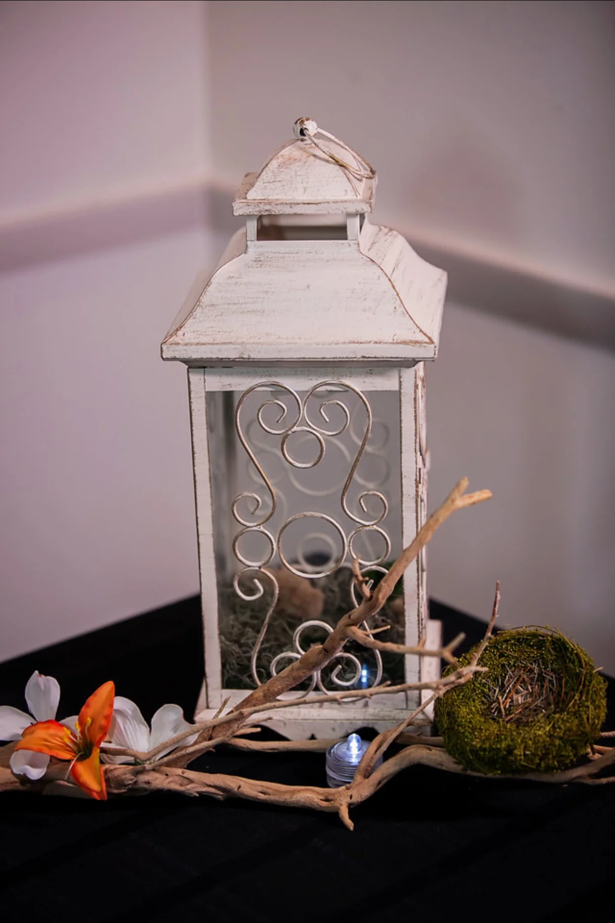 IMG_2485 (Edited).PNG