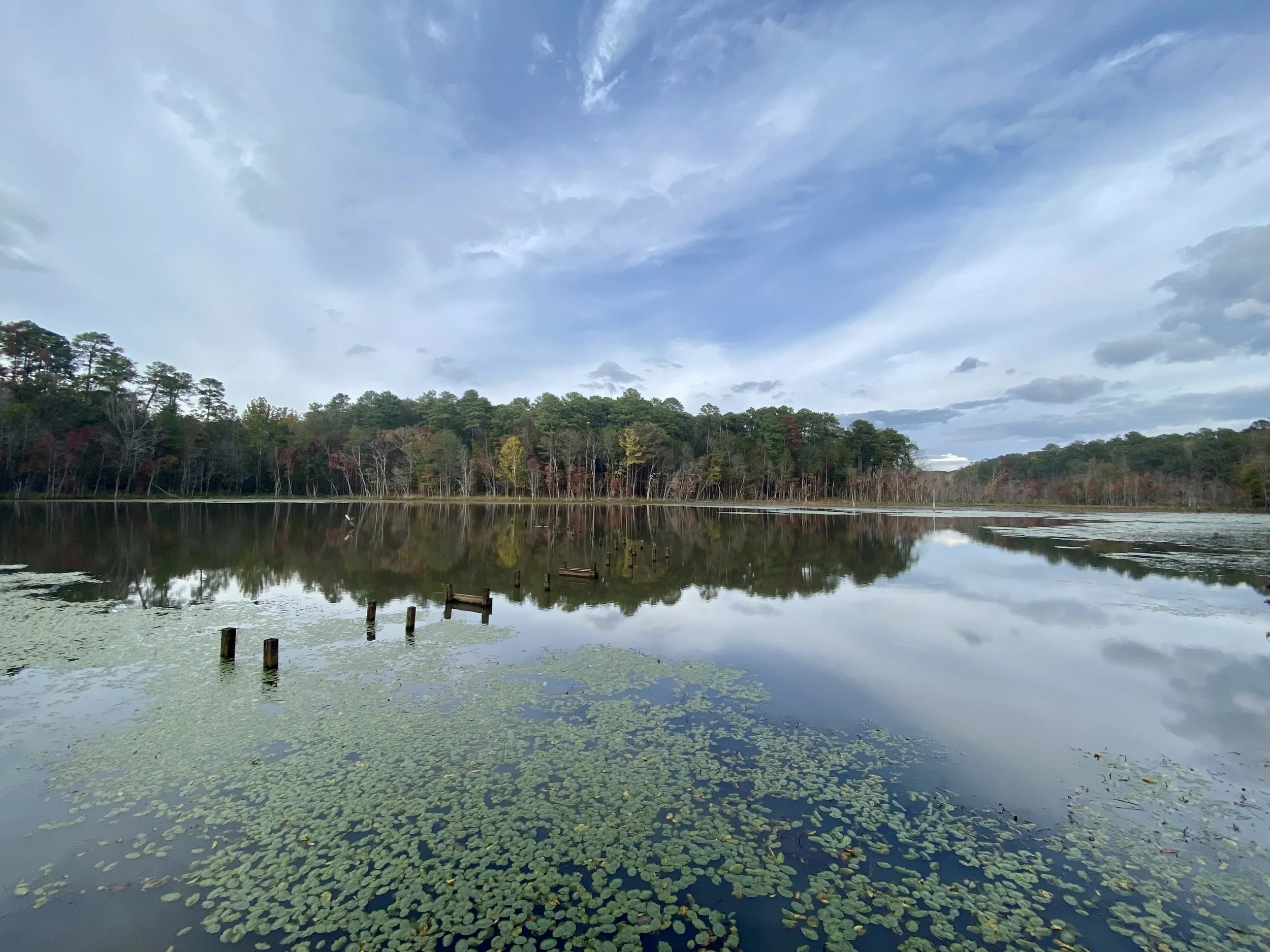 Rolling Hill Revival