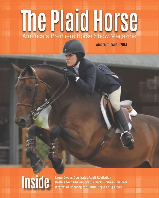 The Plaid Horse