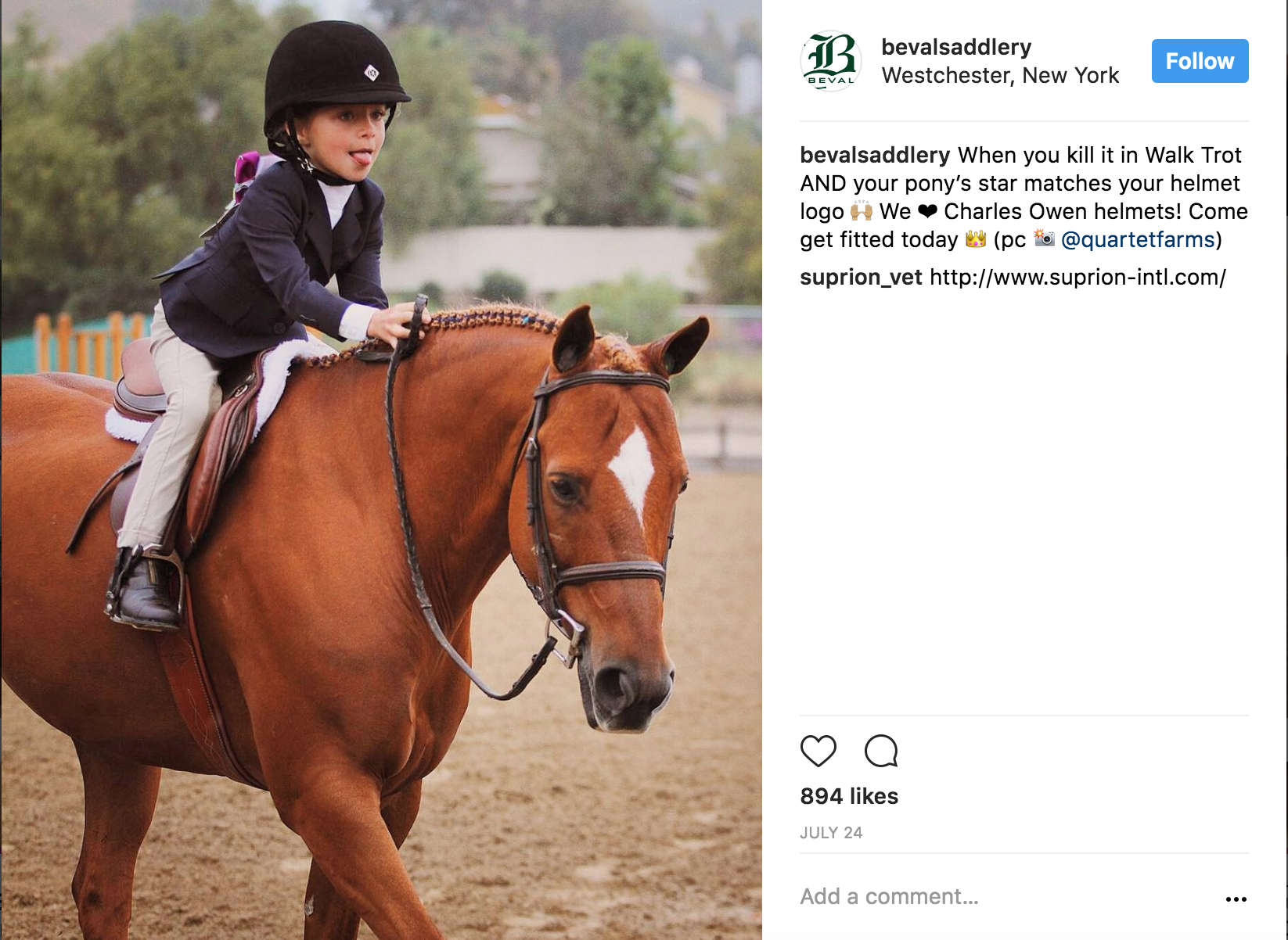 Instagram (@bevalsaddlery)