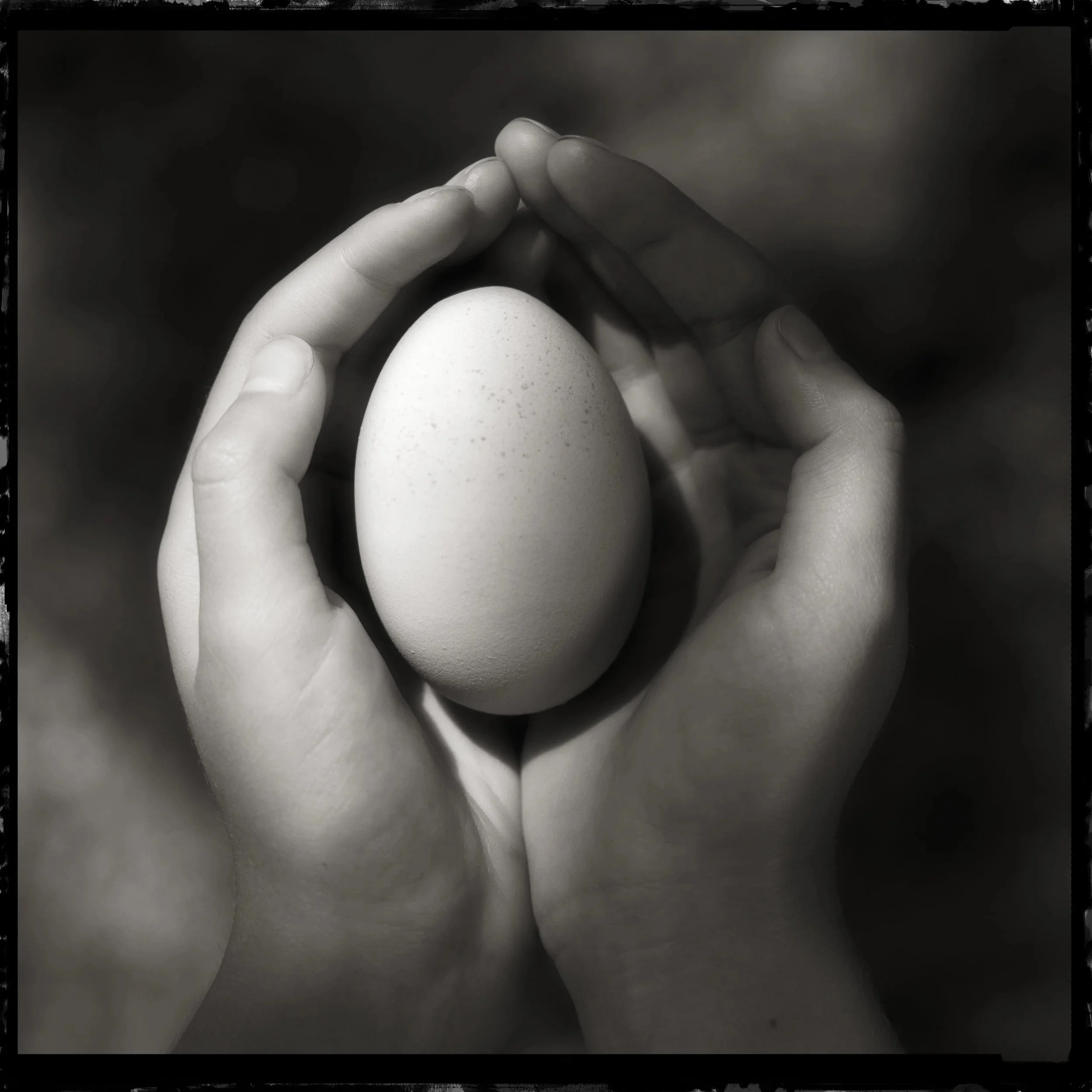 Egg in Hand (Copy)