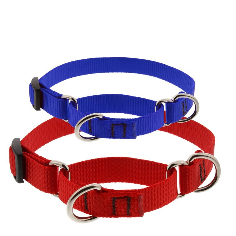 basics_martingales_2_1.jpg
