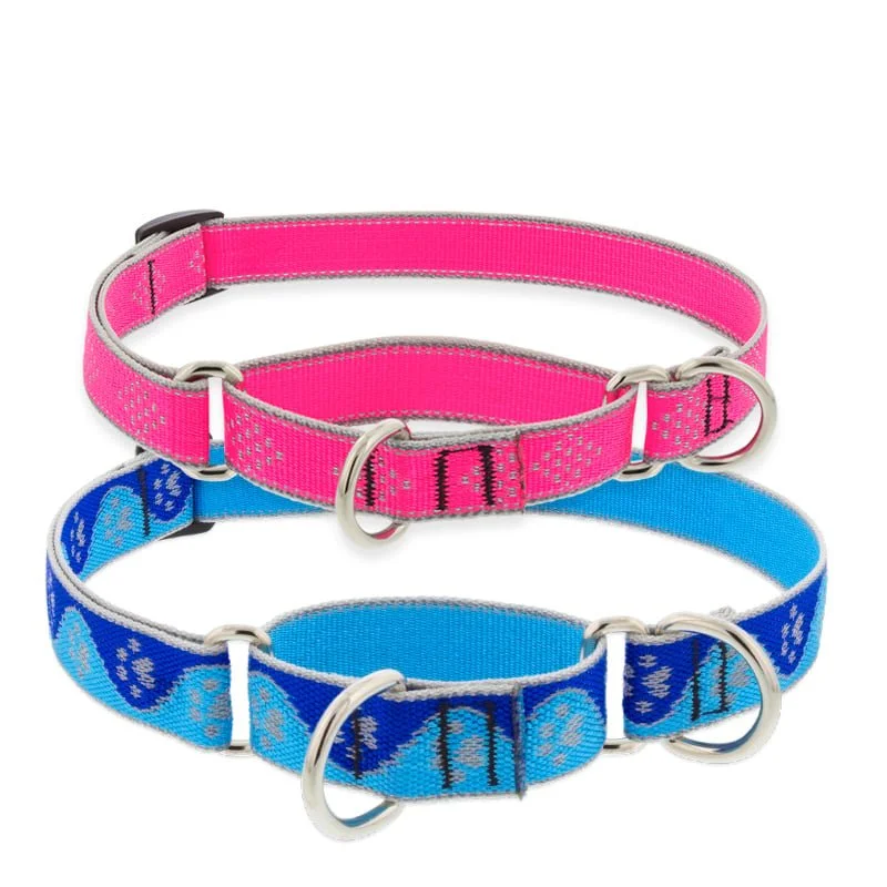 reflective_martingales_1.jpg