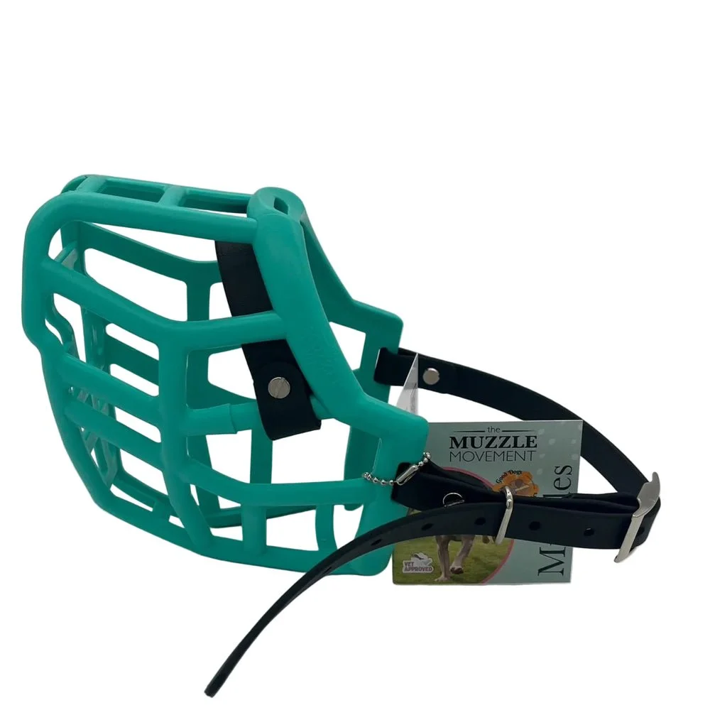 muzzle-neli-Teal.jpg