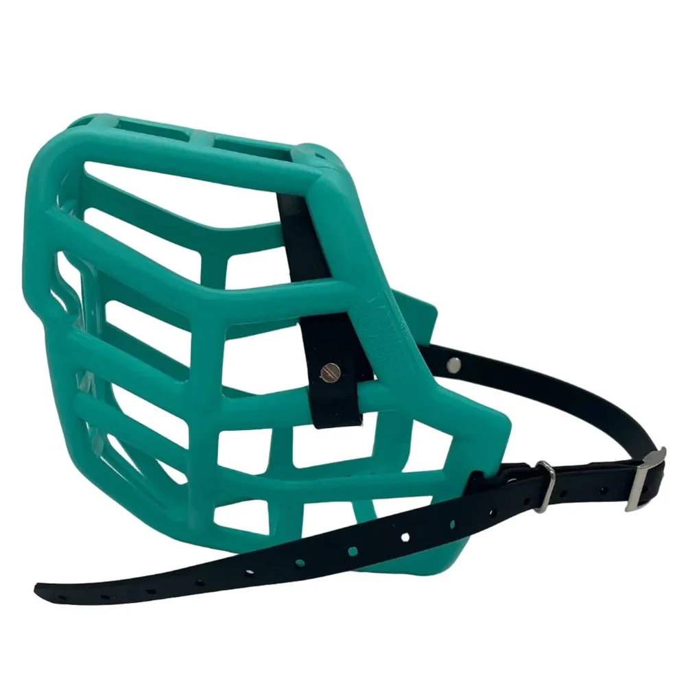 muzzle-sunny-Teal.jpg