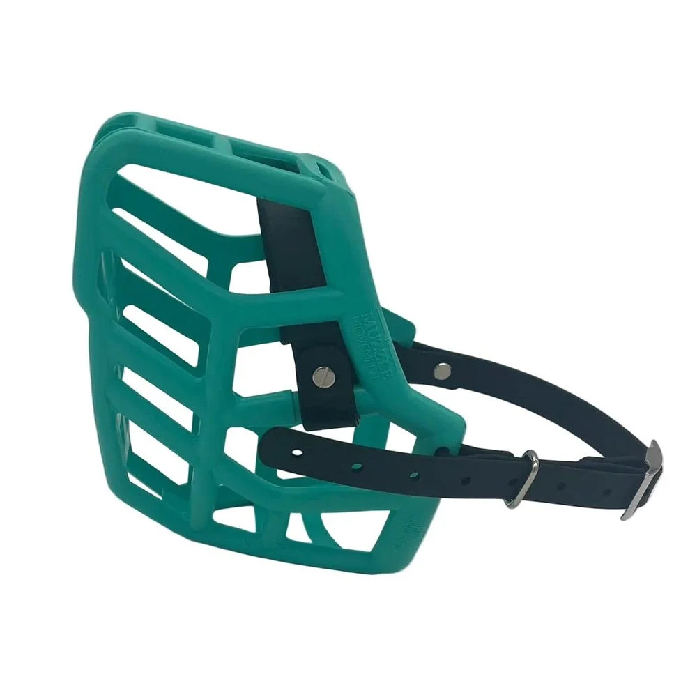 muzzle-rex-Teal.jpg