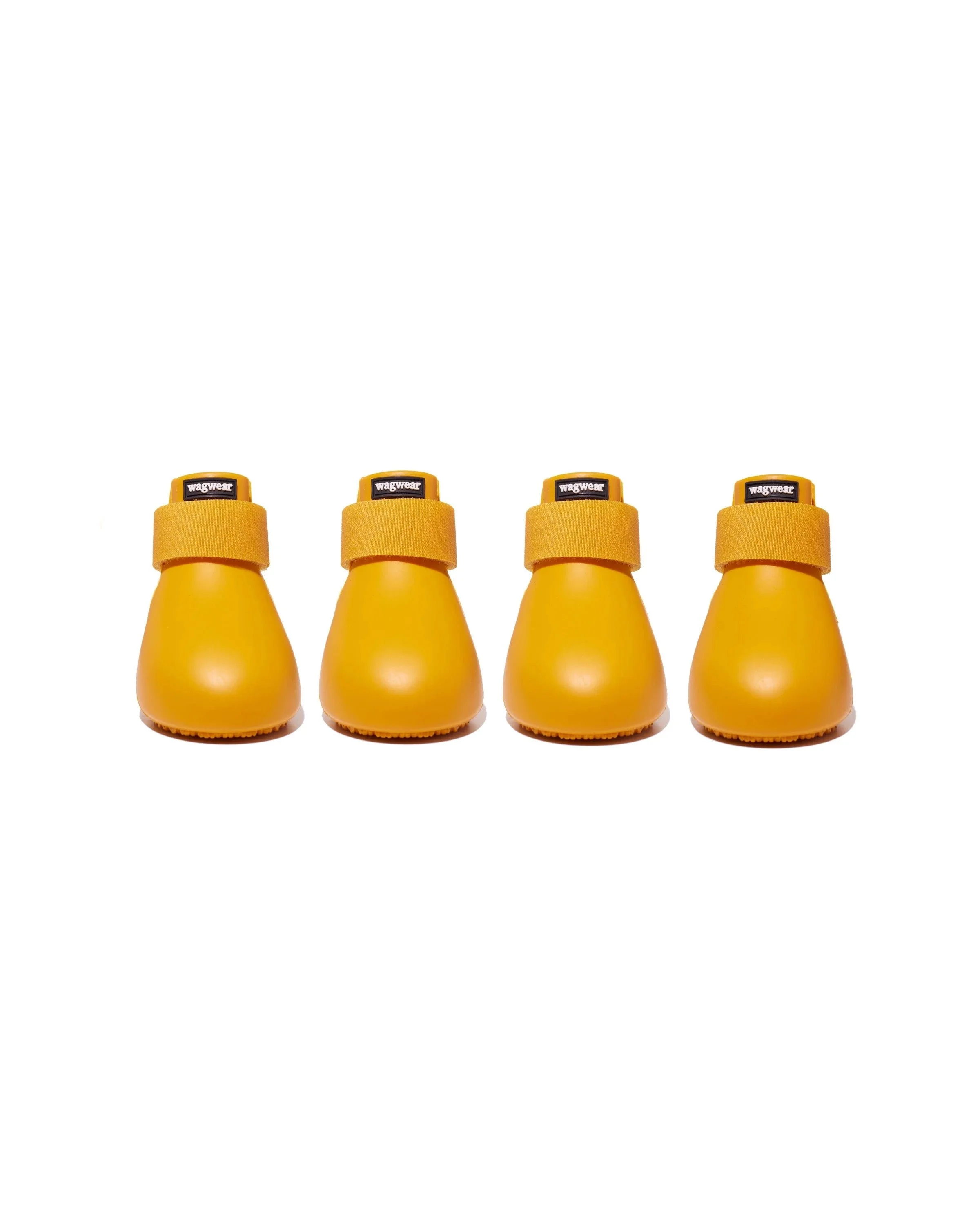 wag-Yellow.jpg